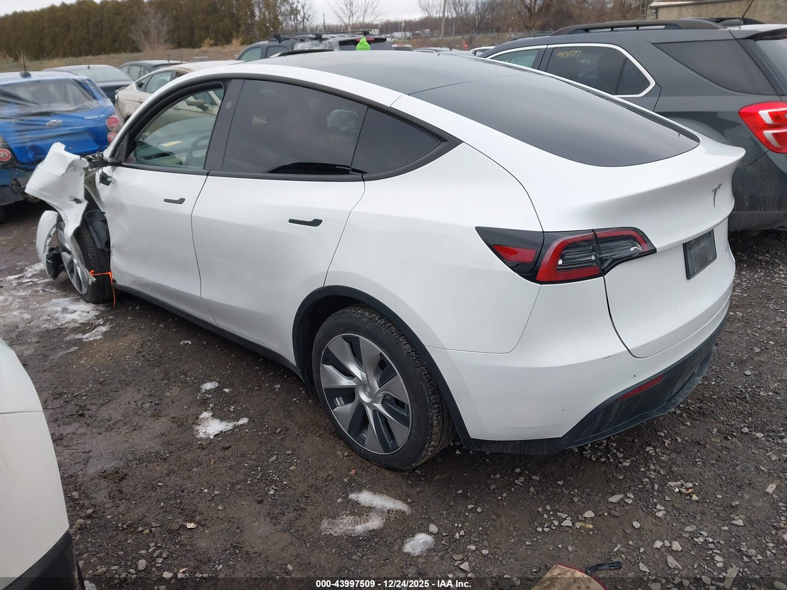 TESLA MODEL image 3
