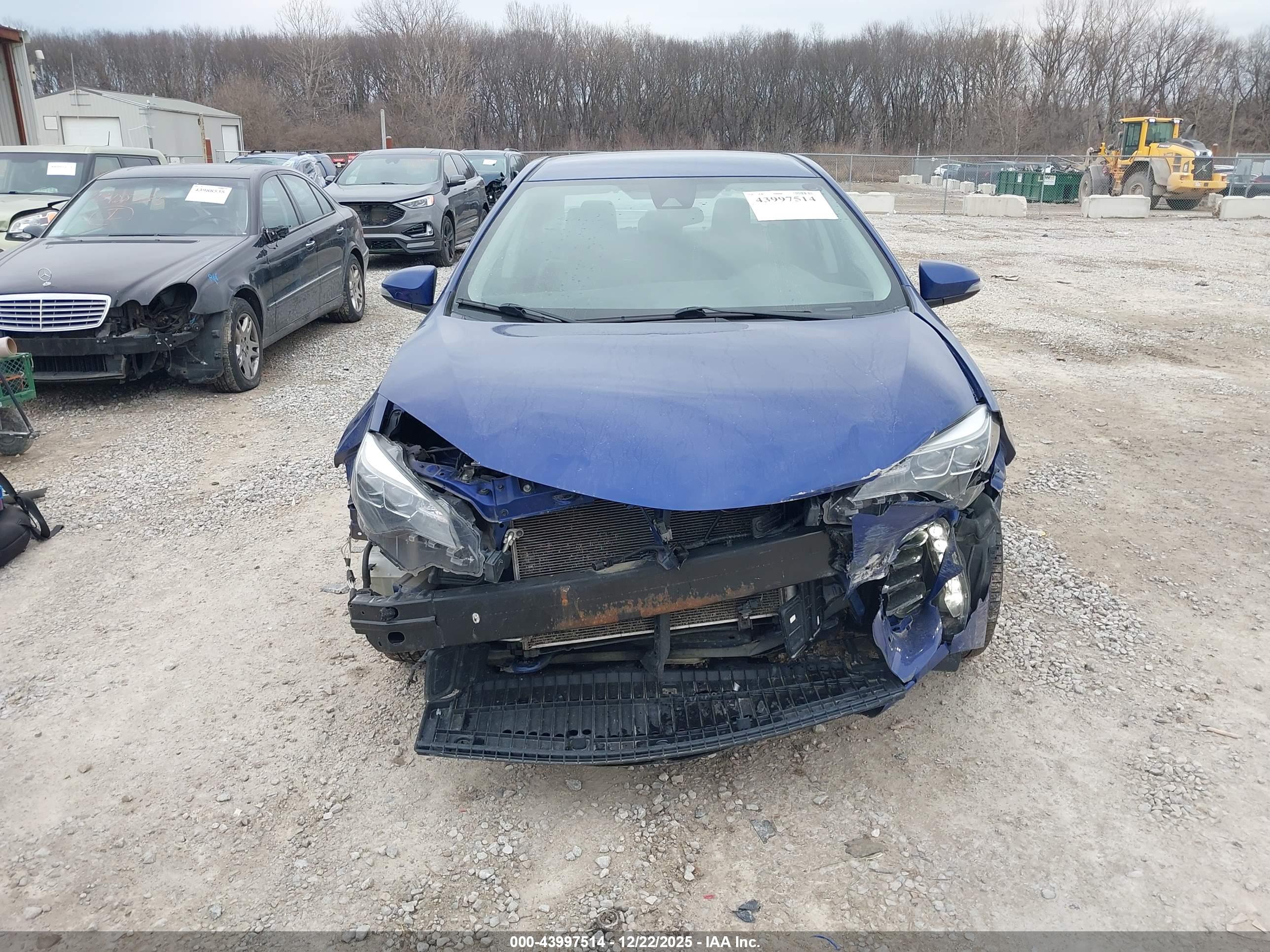 TOYOTA COROLLA image 6