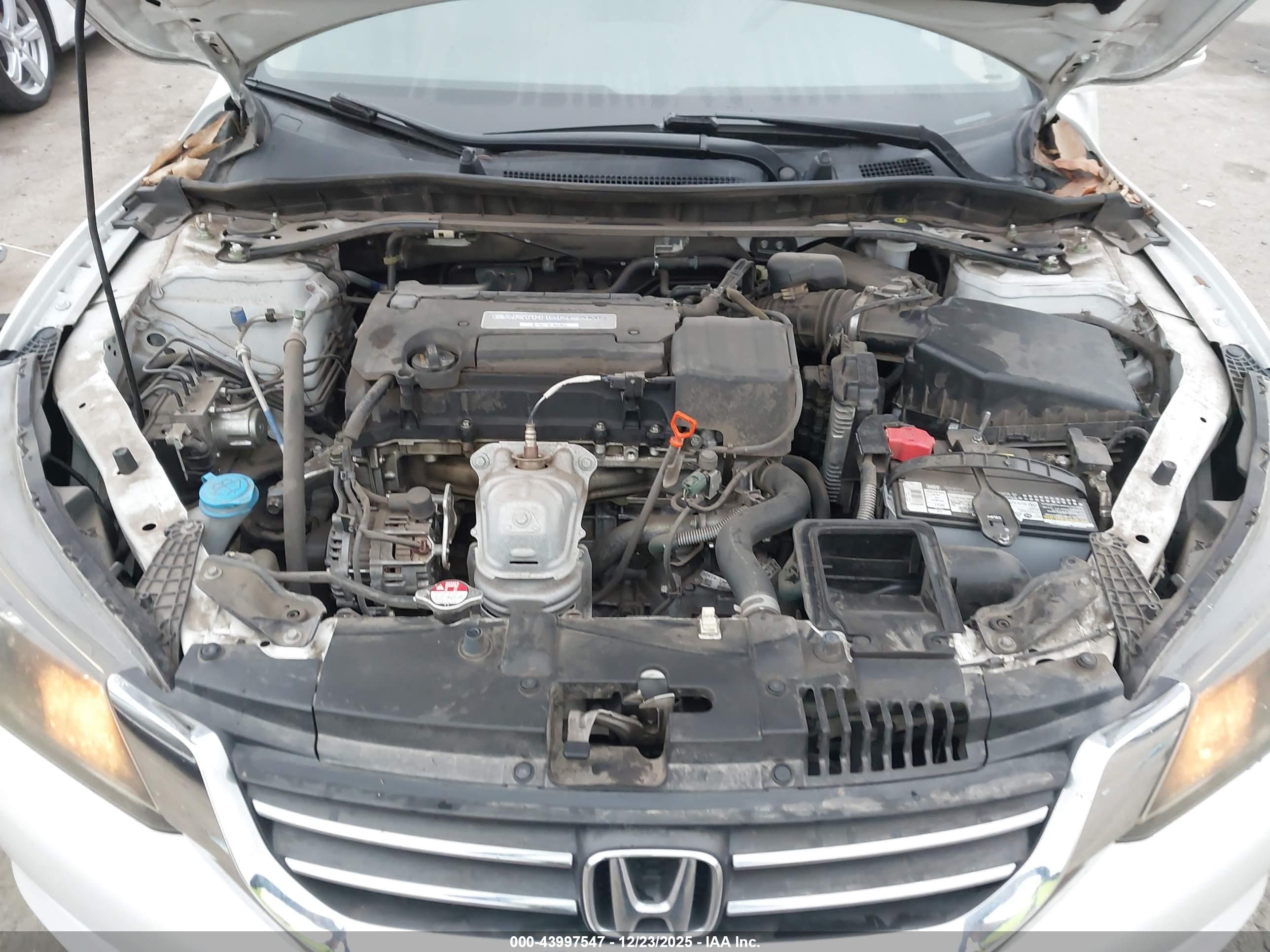 HONDA ACCORD image 10