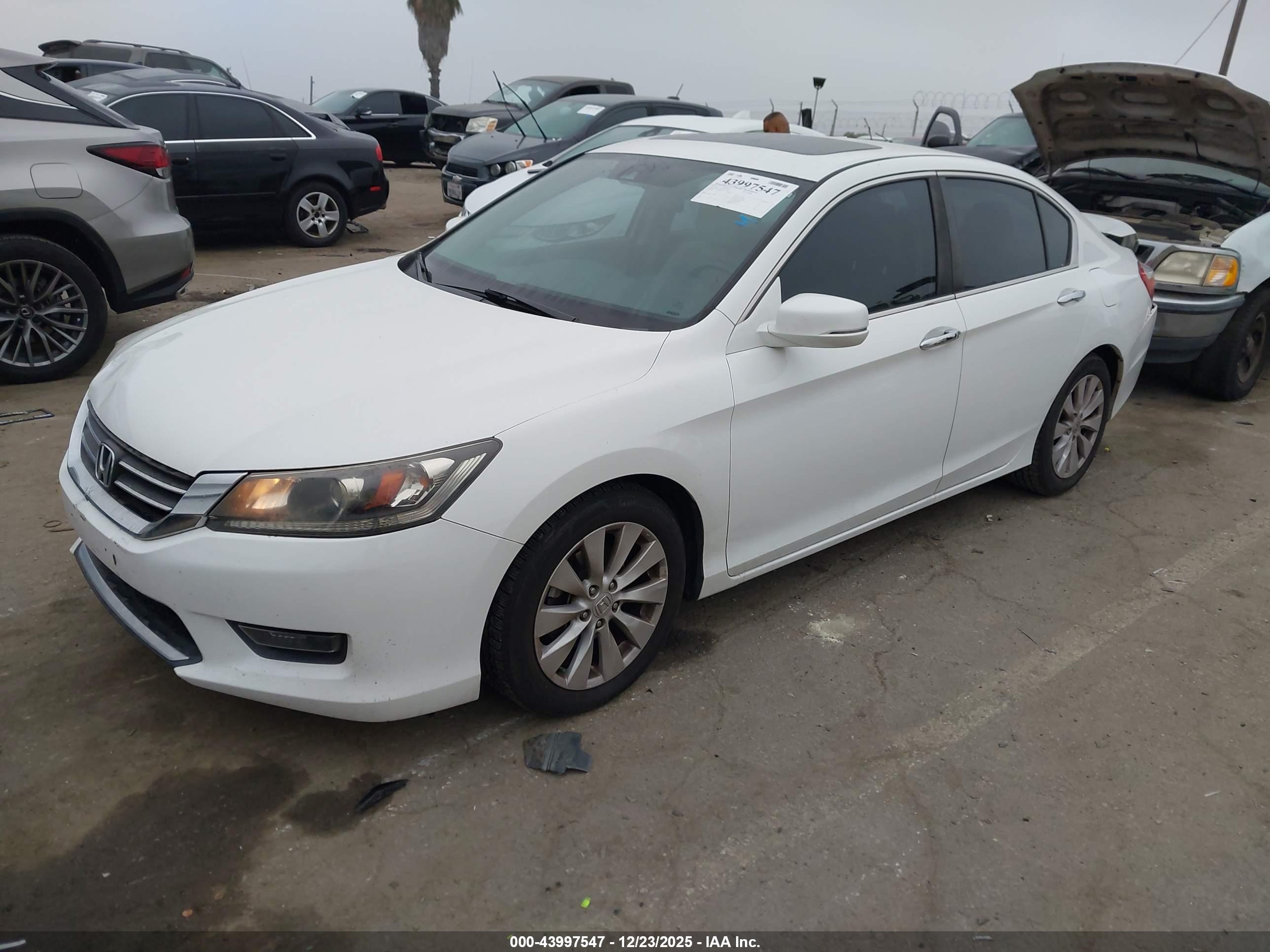 HONDA ACCORD image 2