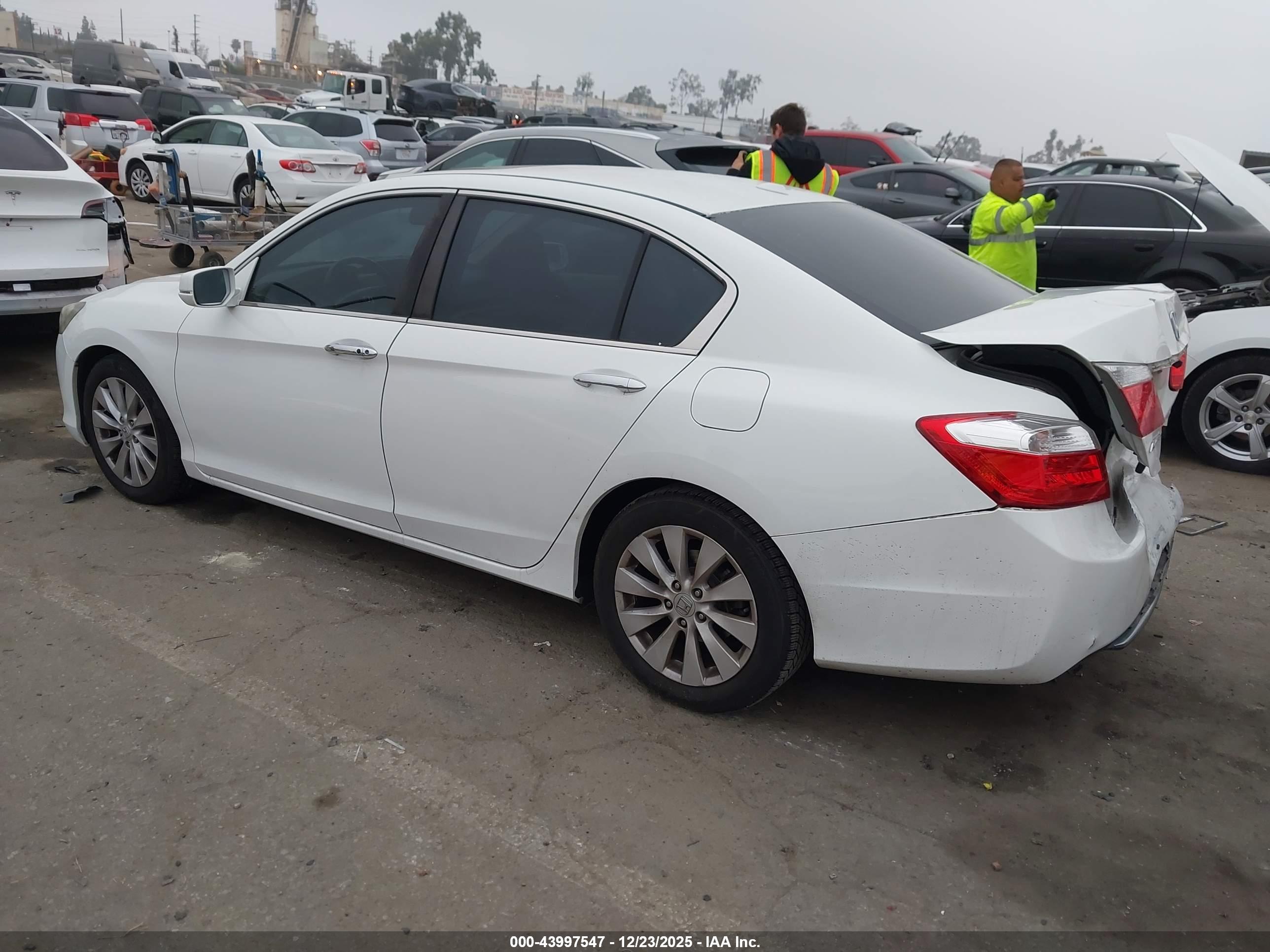 HONDA ACCORD image 3