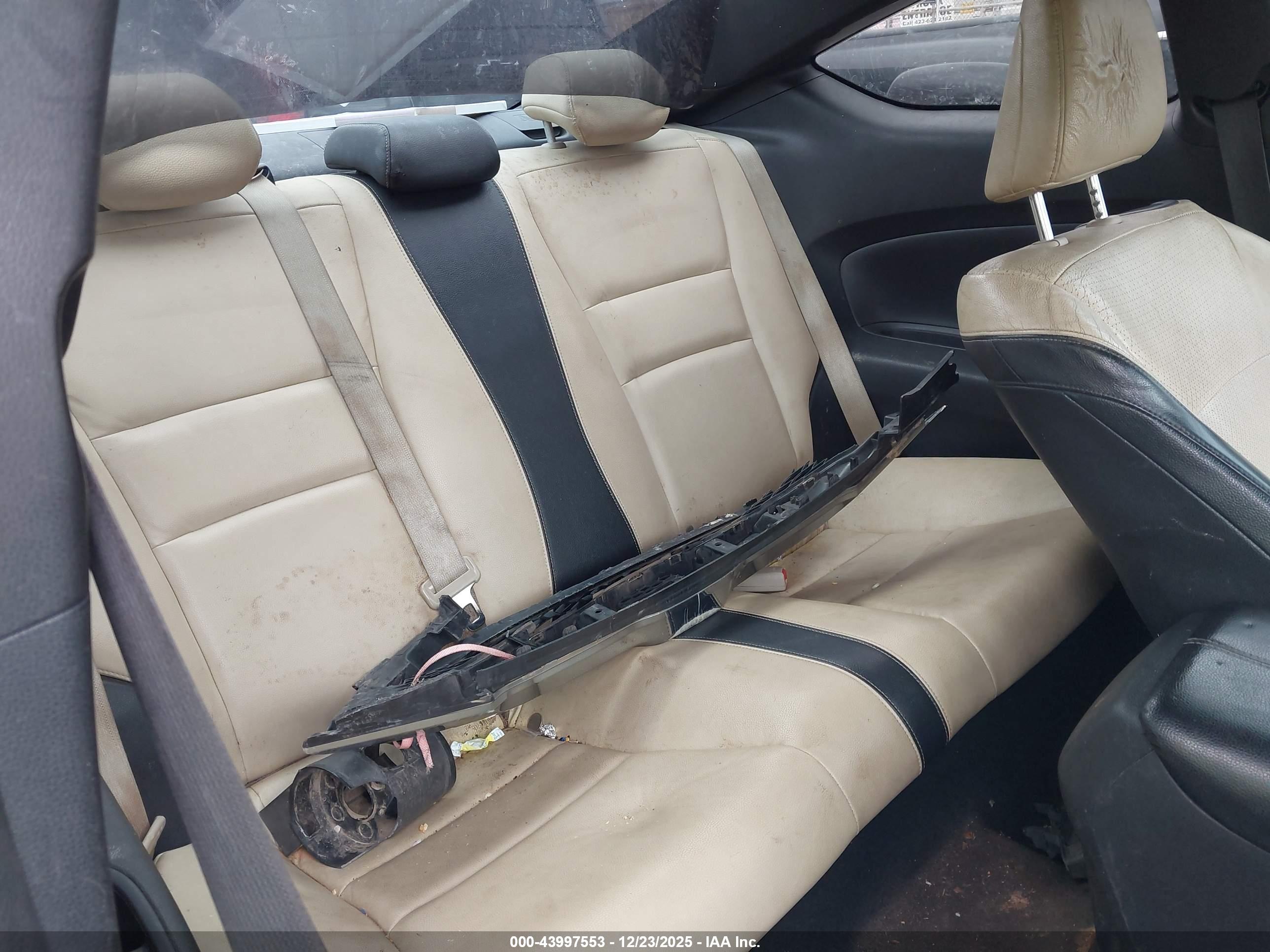 HONDA ACCORD image 8