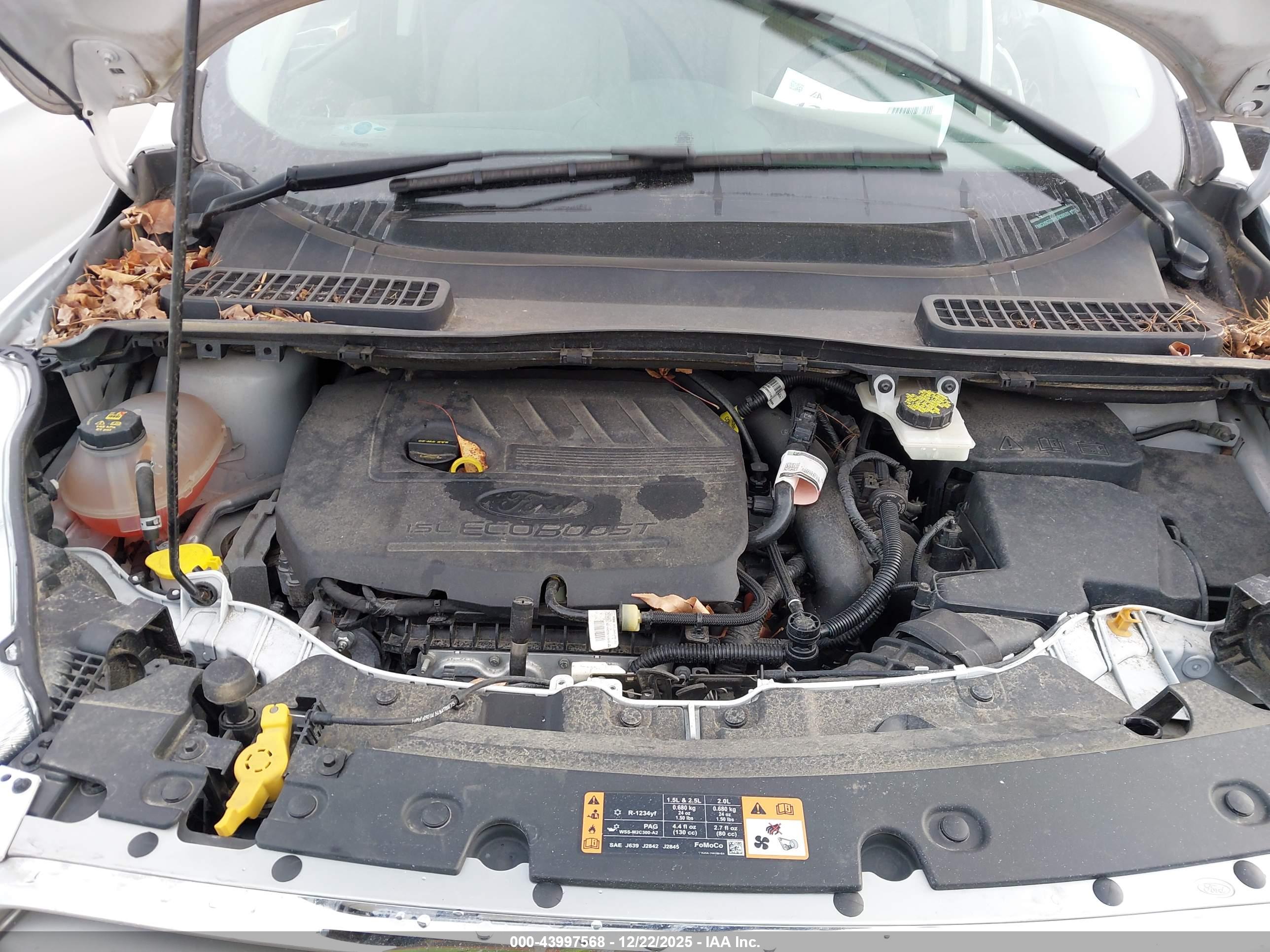 FORD ESCAPE image 10