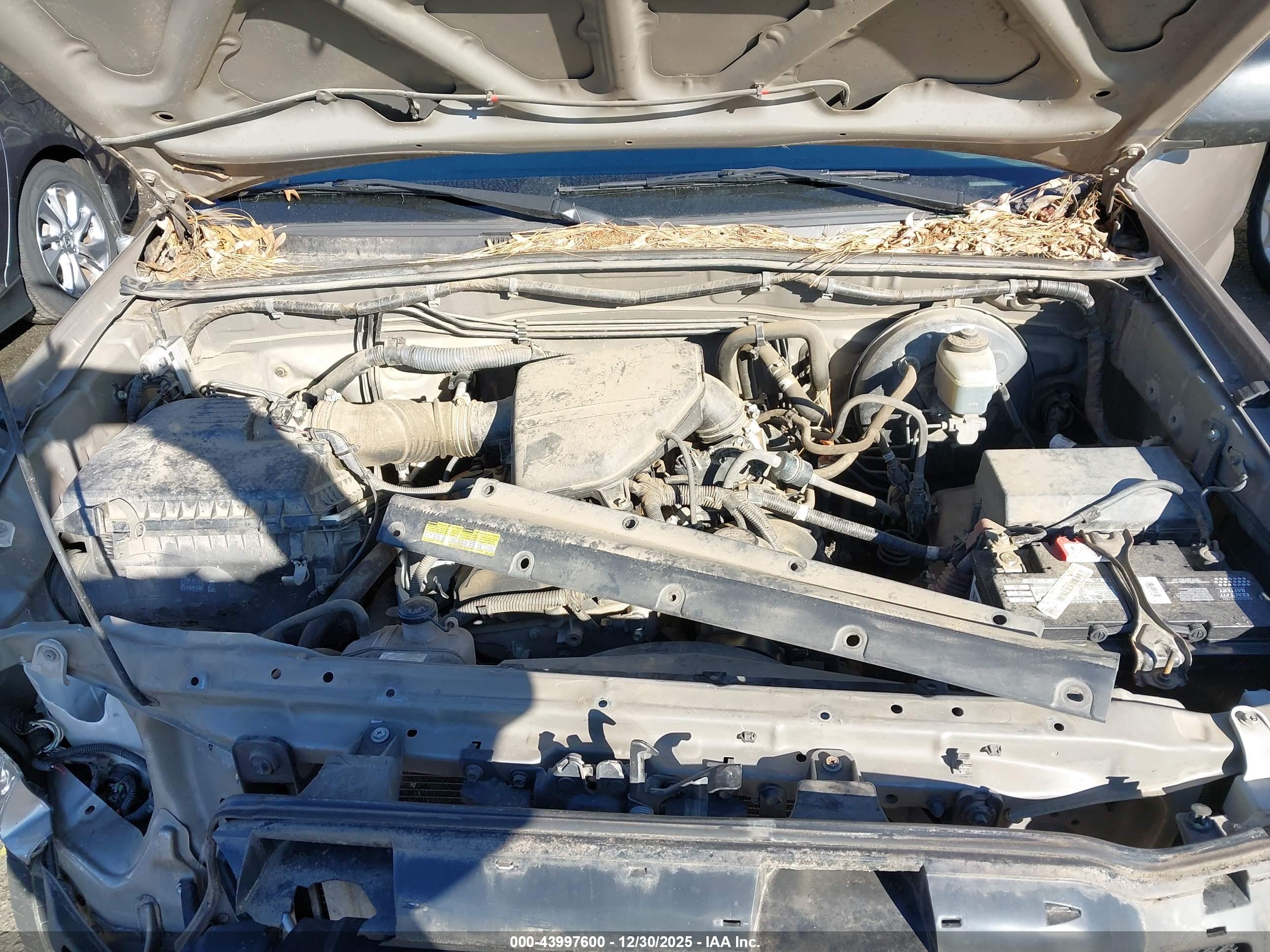 TOYOTA TACOMA image 10