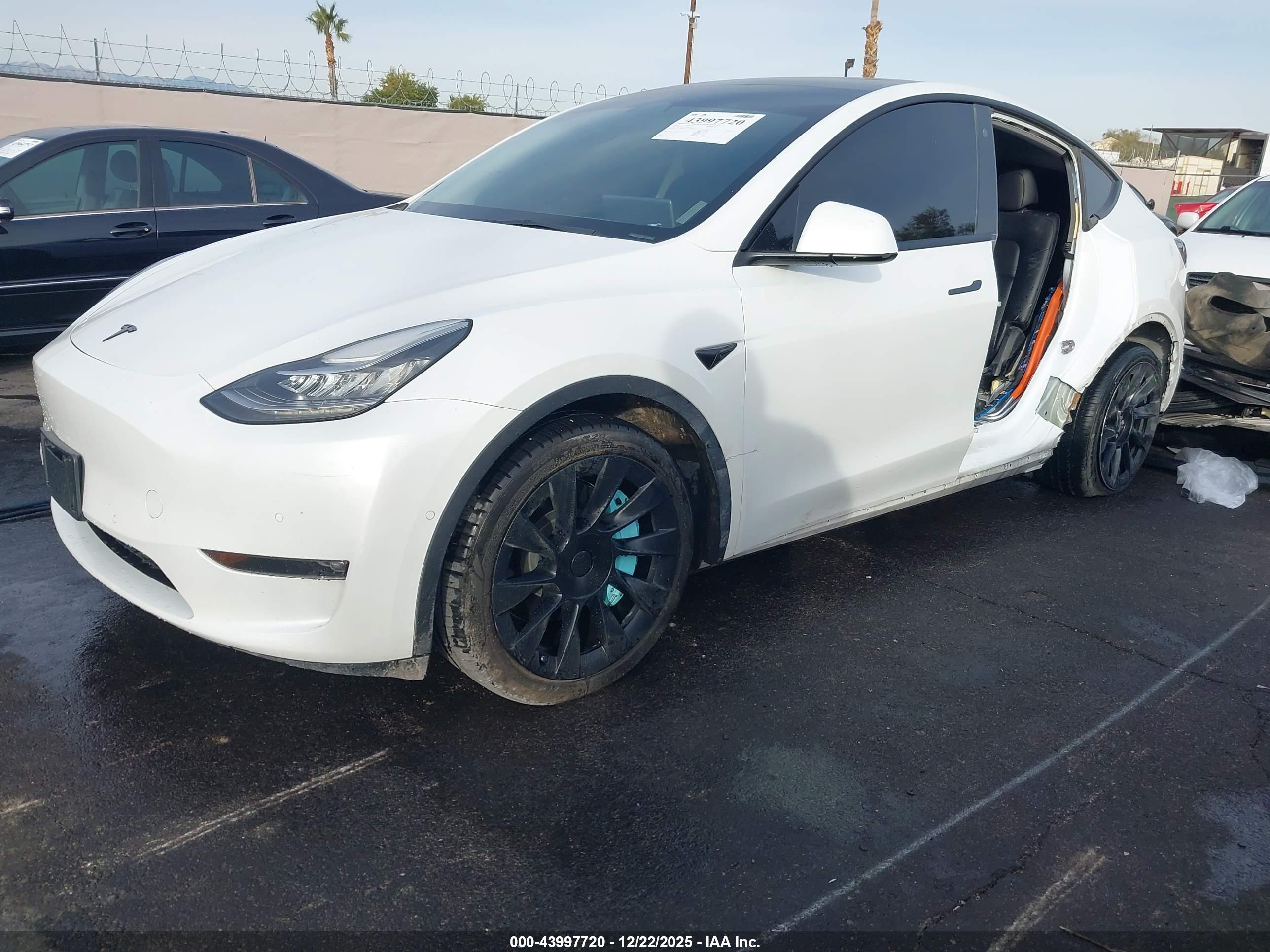 TESLA MODEL image 6