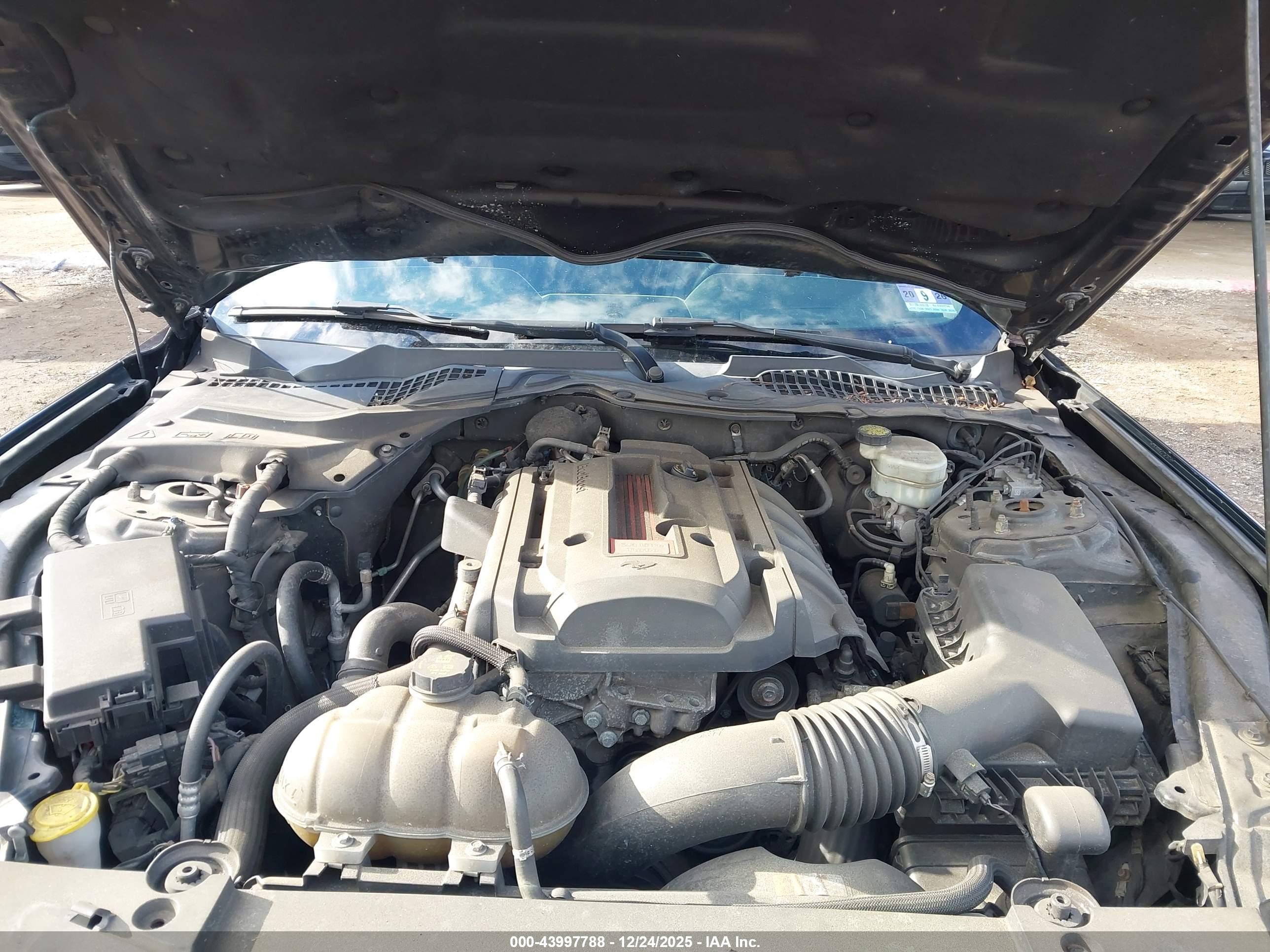 FORD MUSTANG image 10
