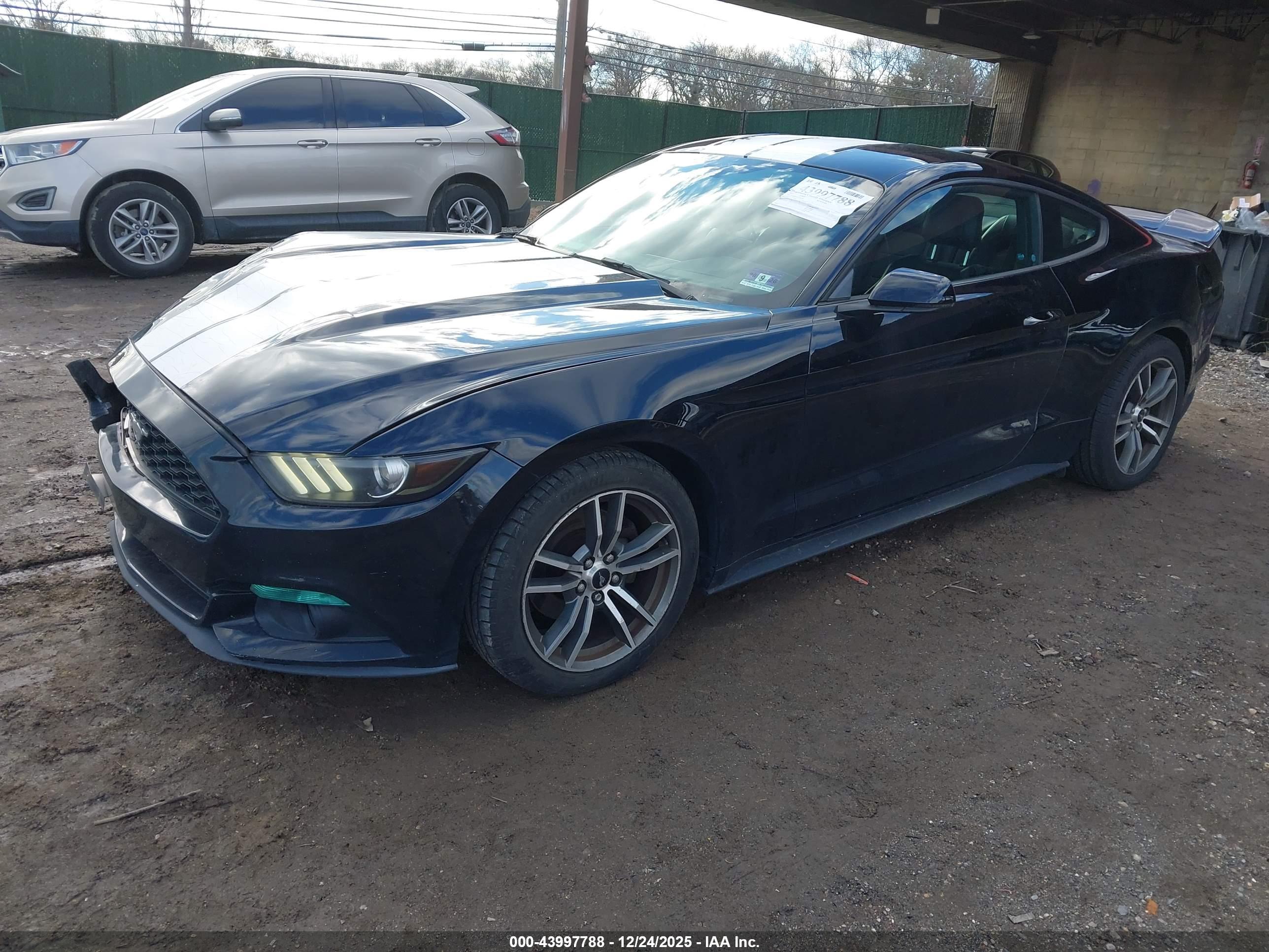 FORD MUSTANG image 2