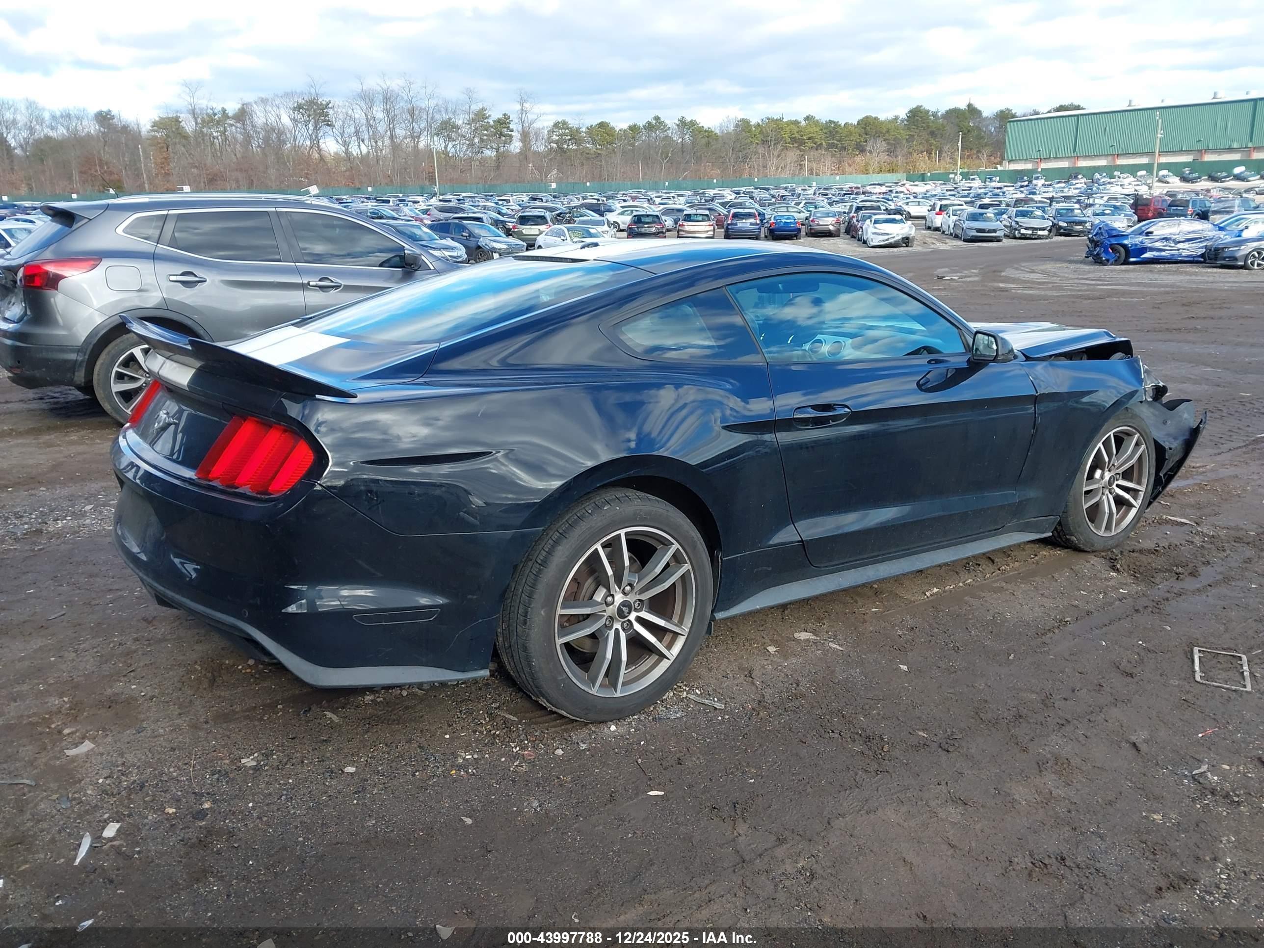FORD MUSTANG image 4