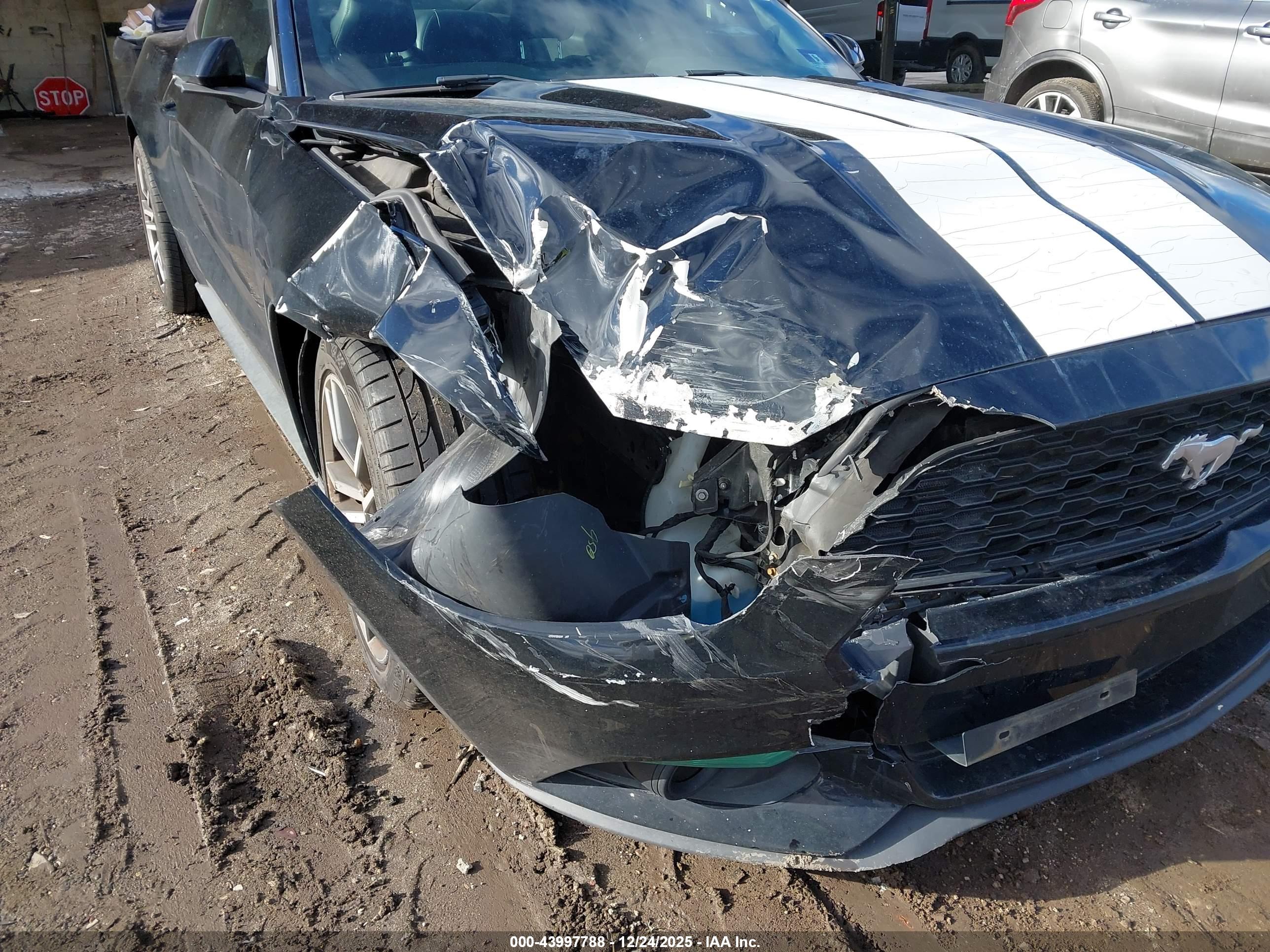 FORD MUSTANG image 6