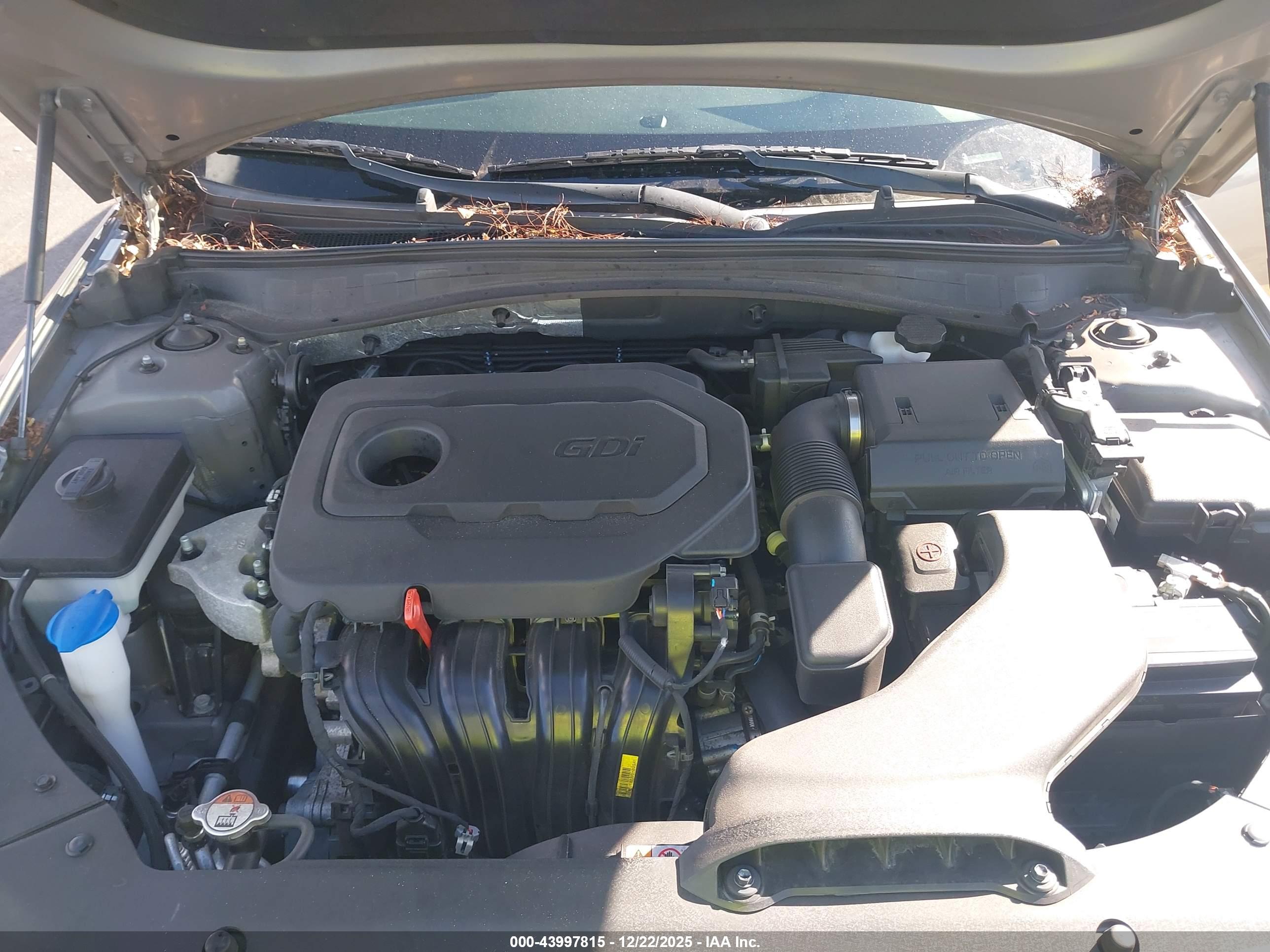 KIA OPTIMA image 10