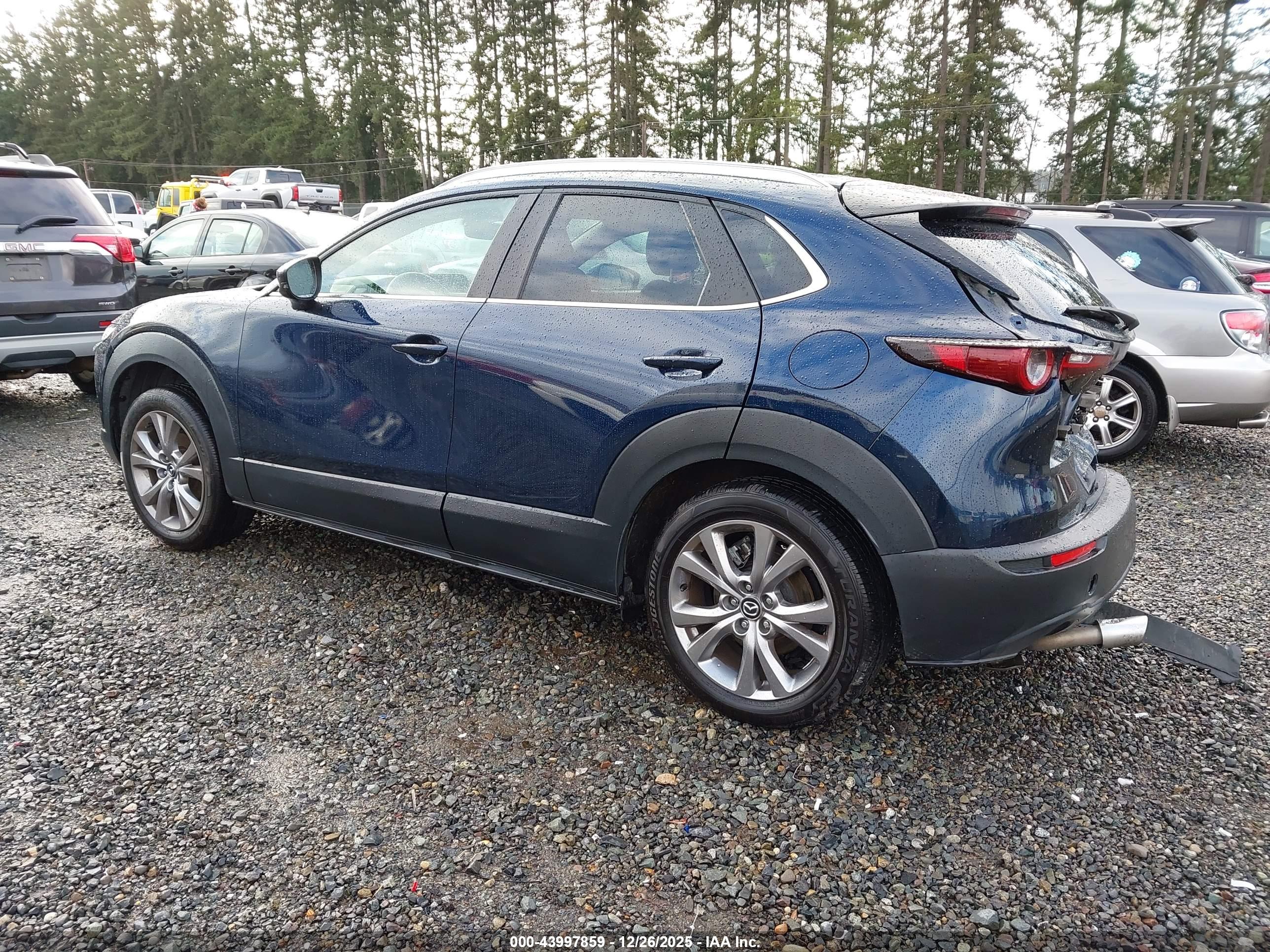 MAZDA CX-30 image 3