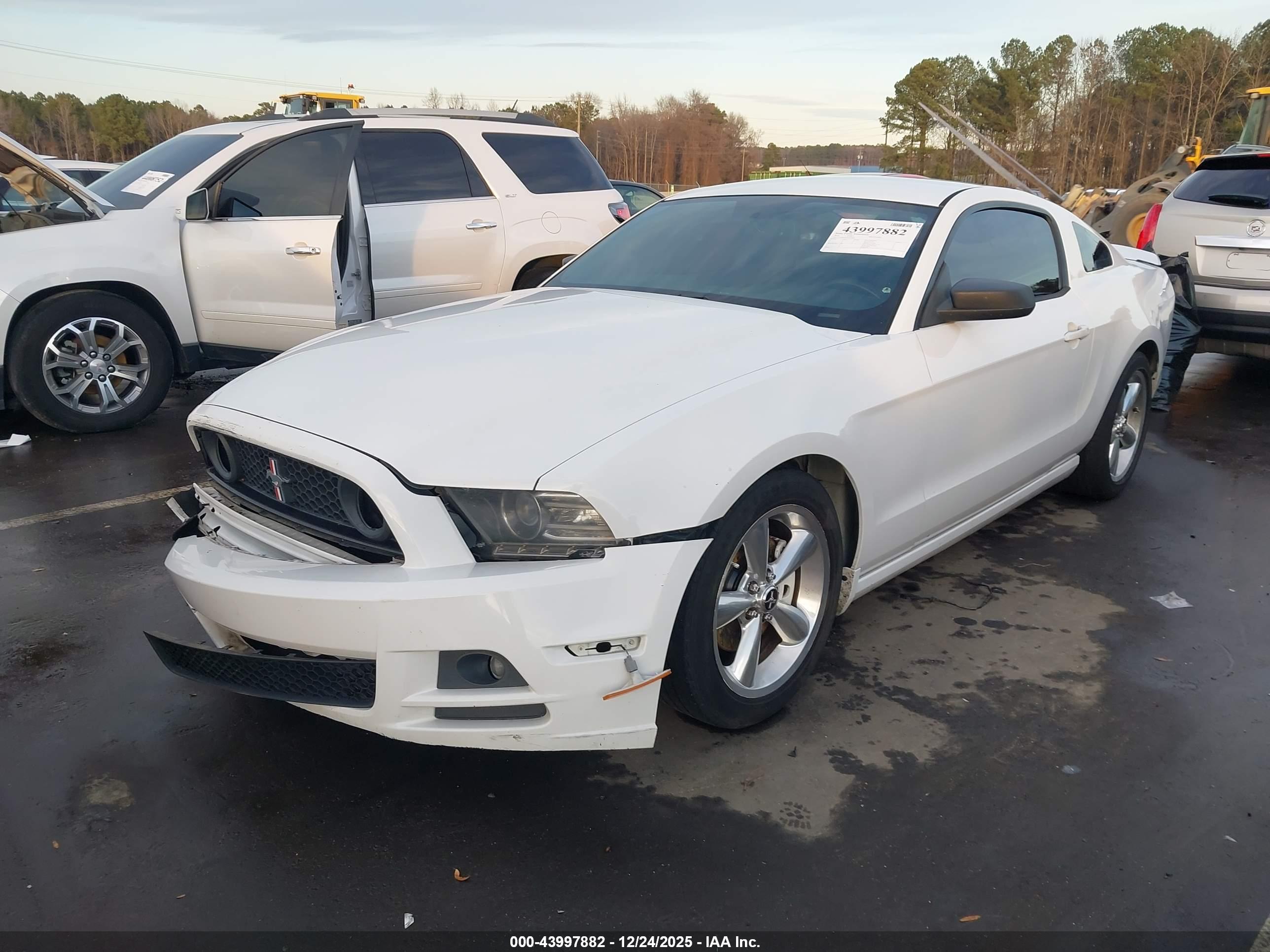 FORD MUSTANG image 2