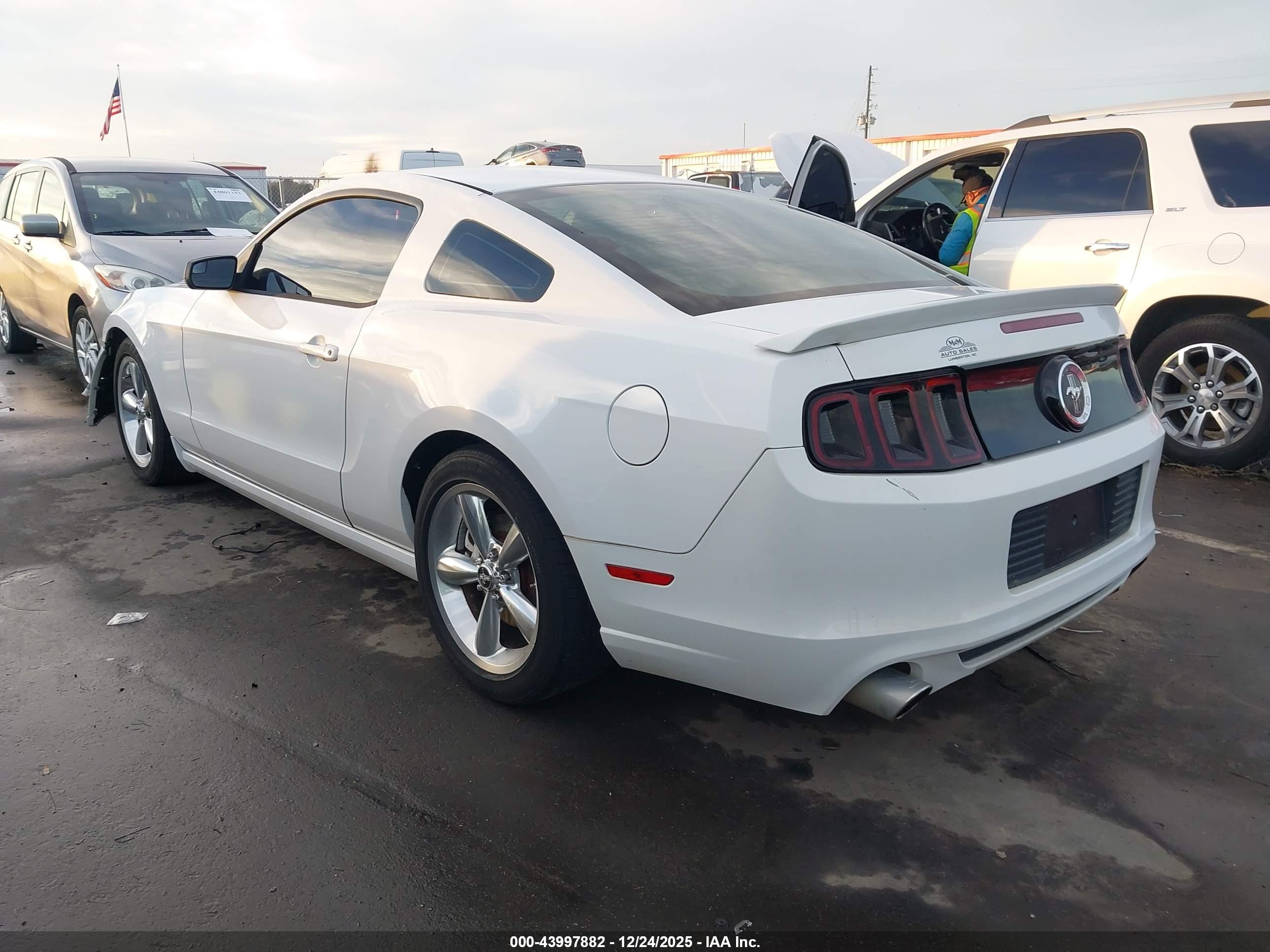 FORD MUSTANG image 3