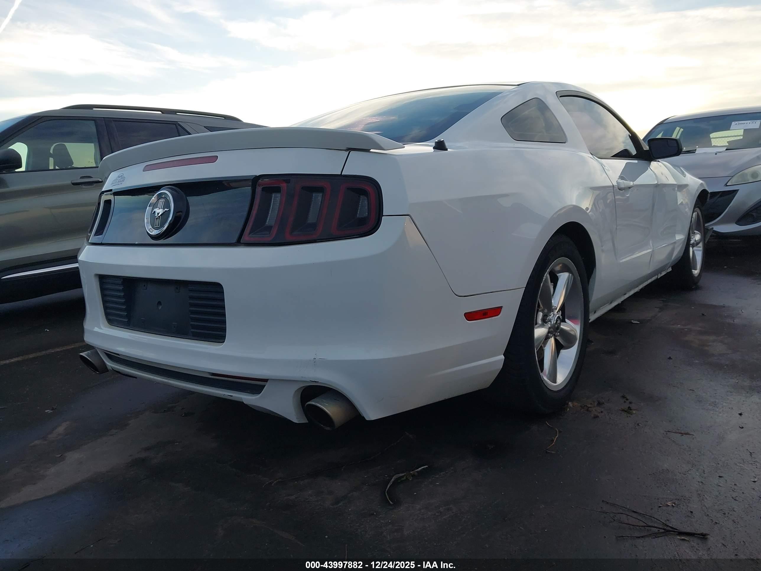 FORD MUSTANG image 4