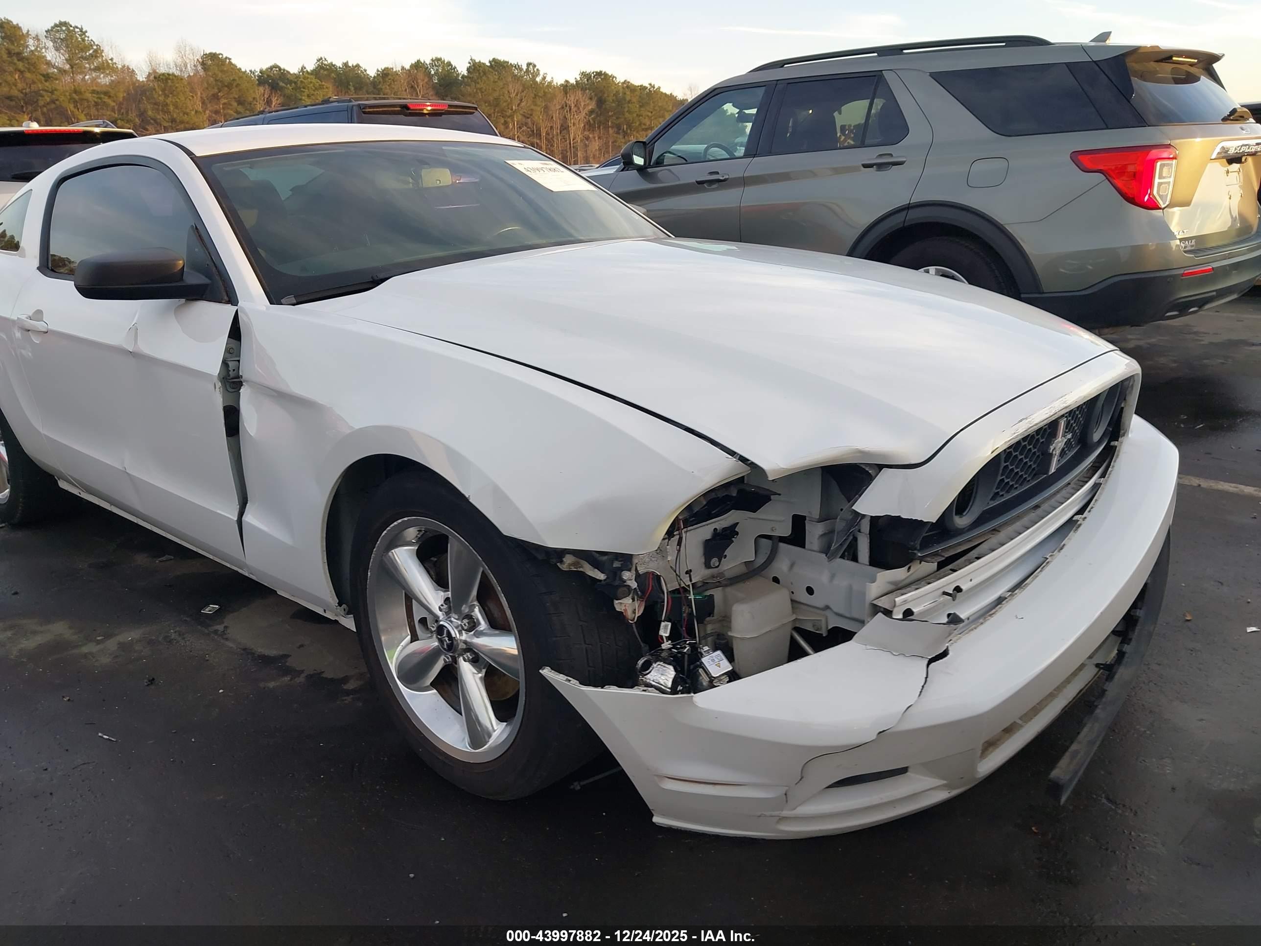 FORD MUSTANG image 6