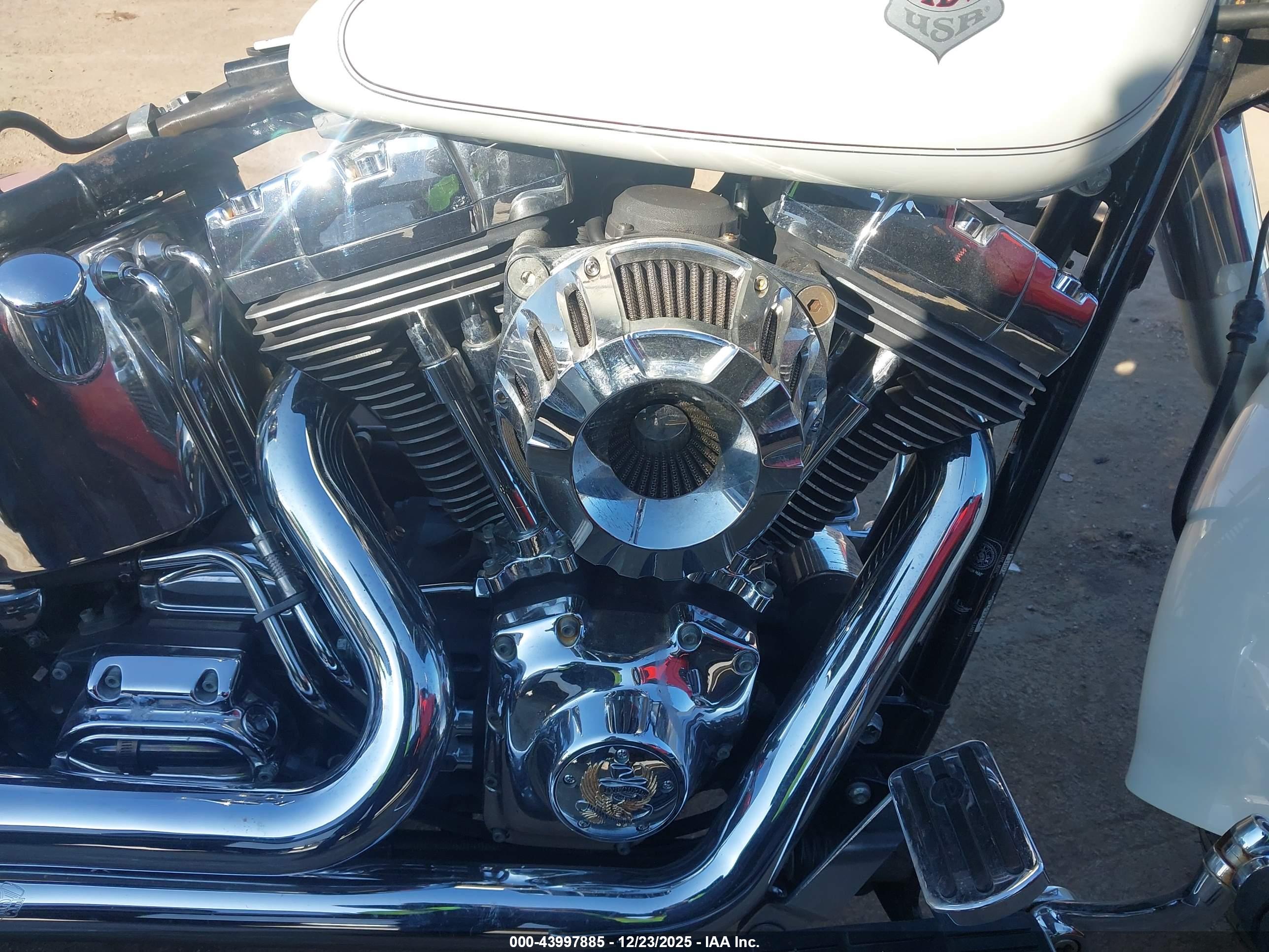 HARLEY-DAVIDSON FLSTF image 8