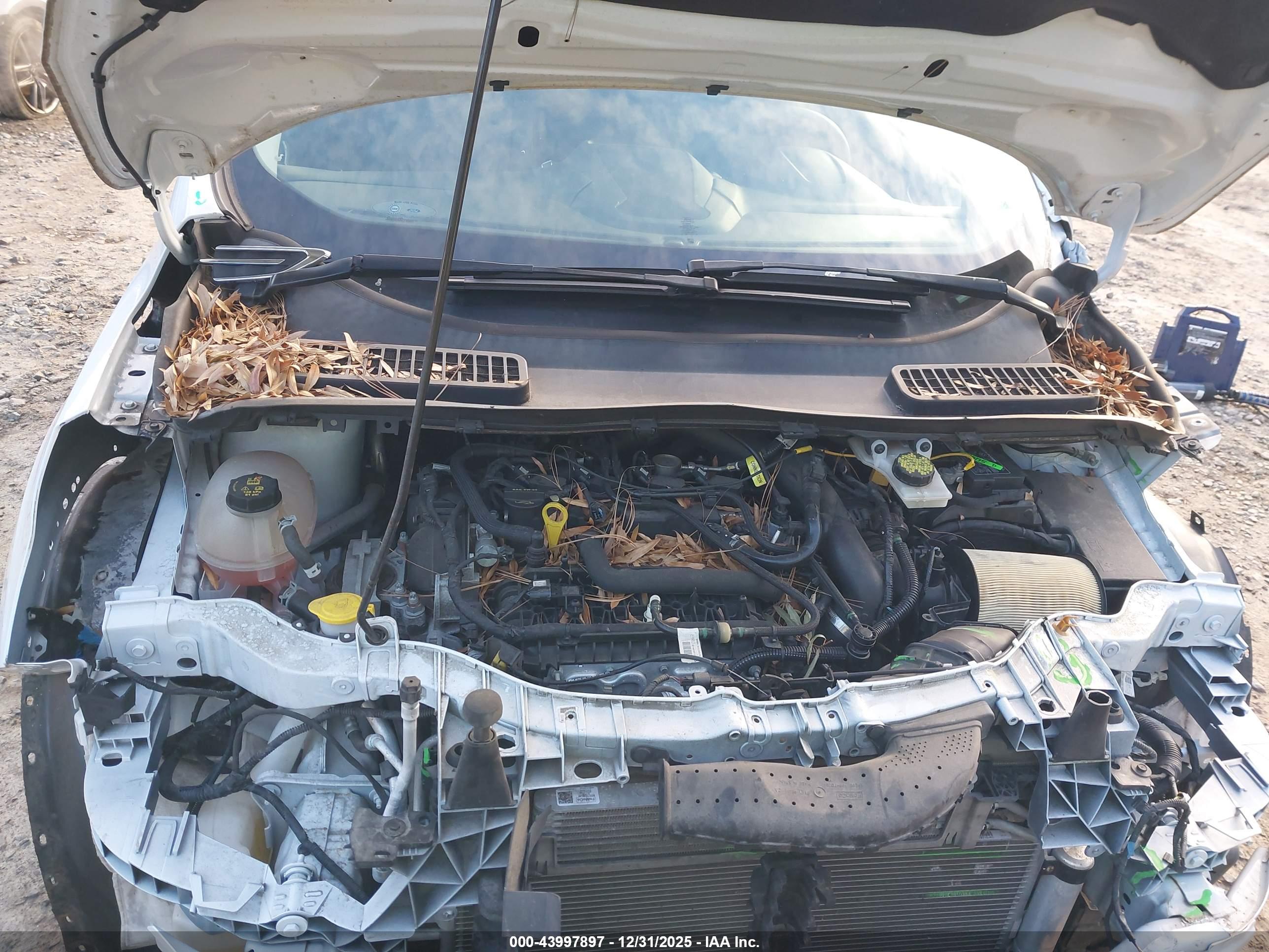FORD ESCAPE image 10