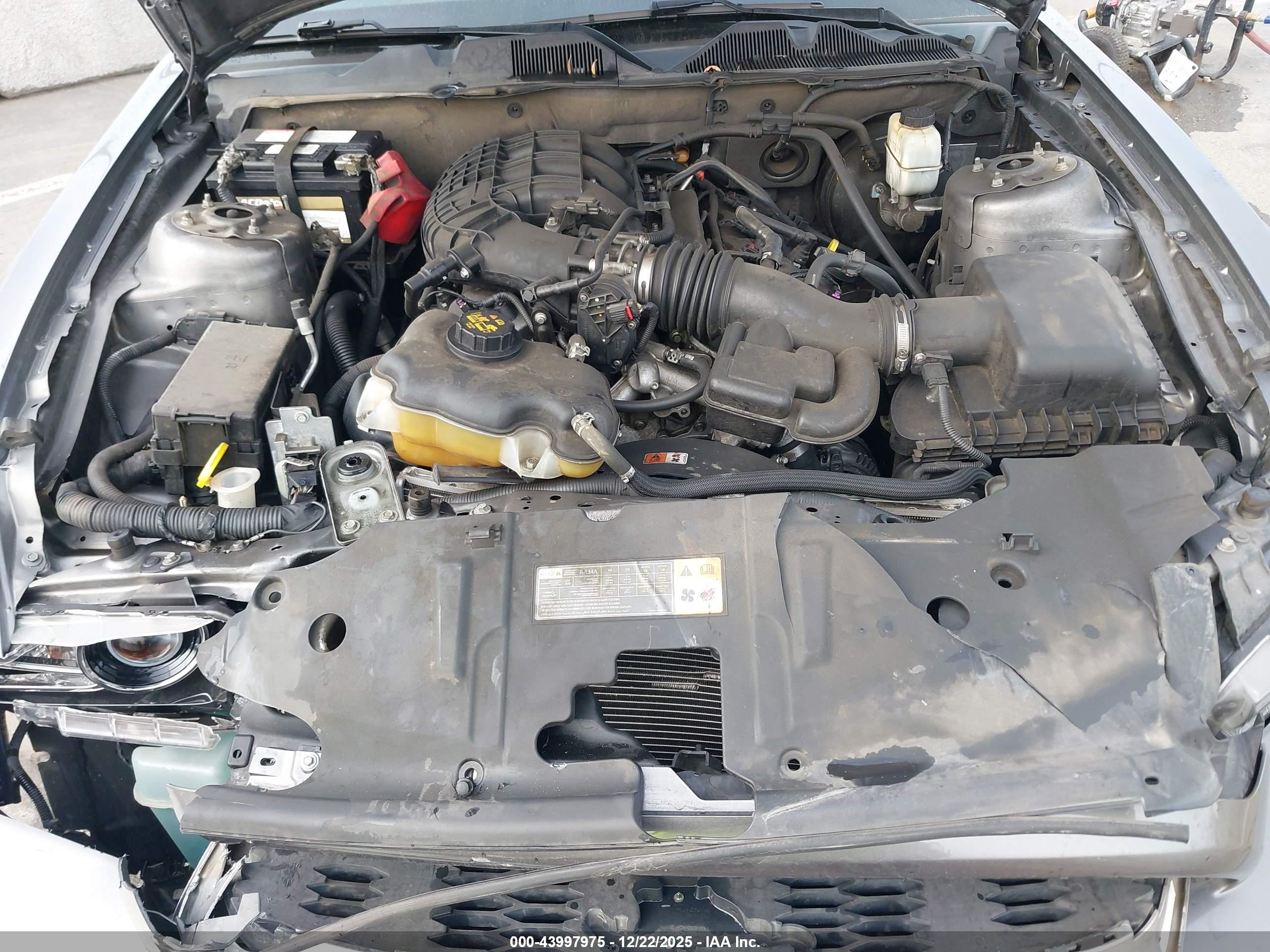 FORD MUSTANG image 10
