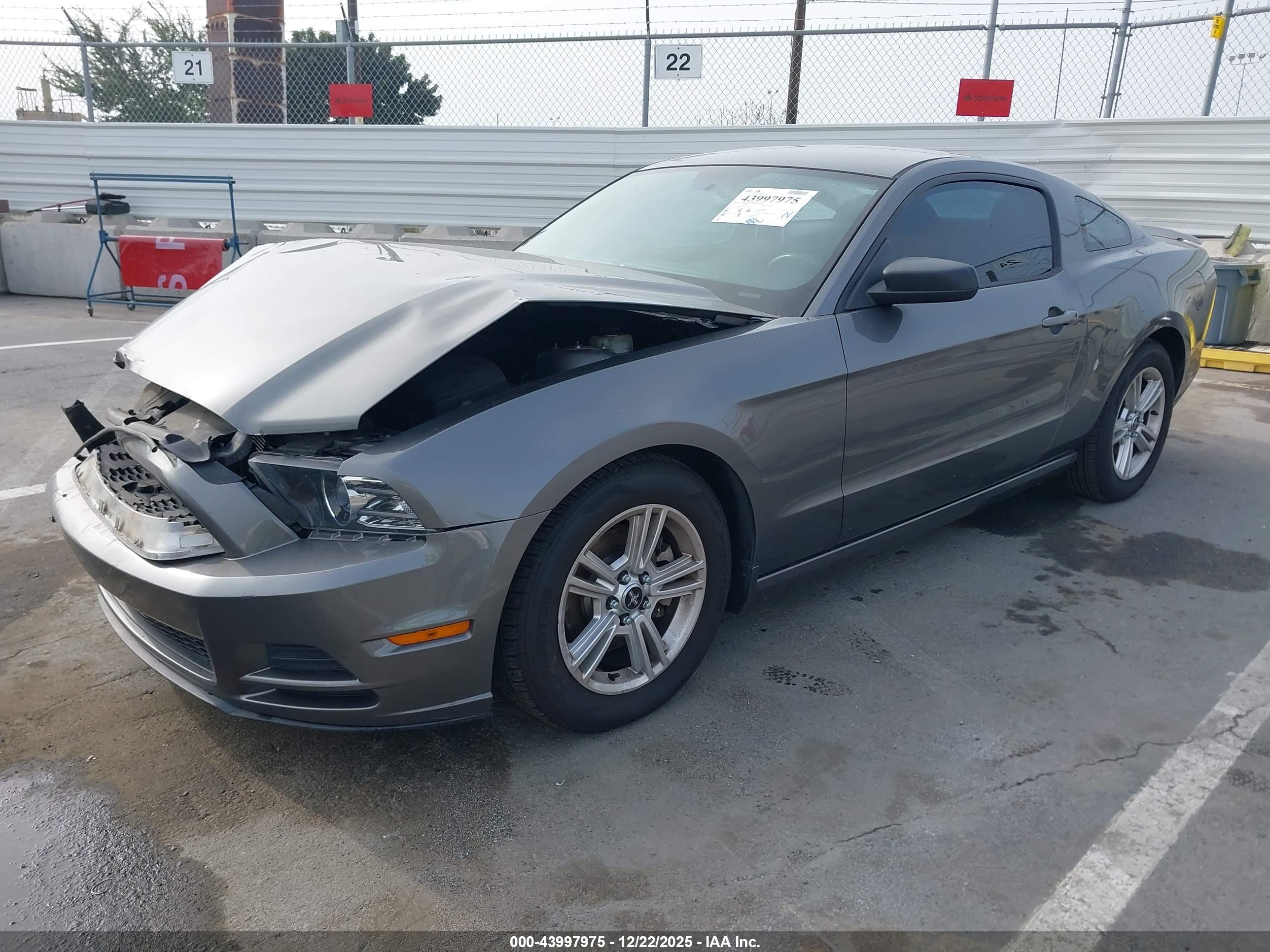FORD MUSTANG image 2