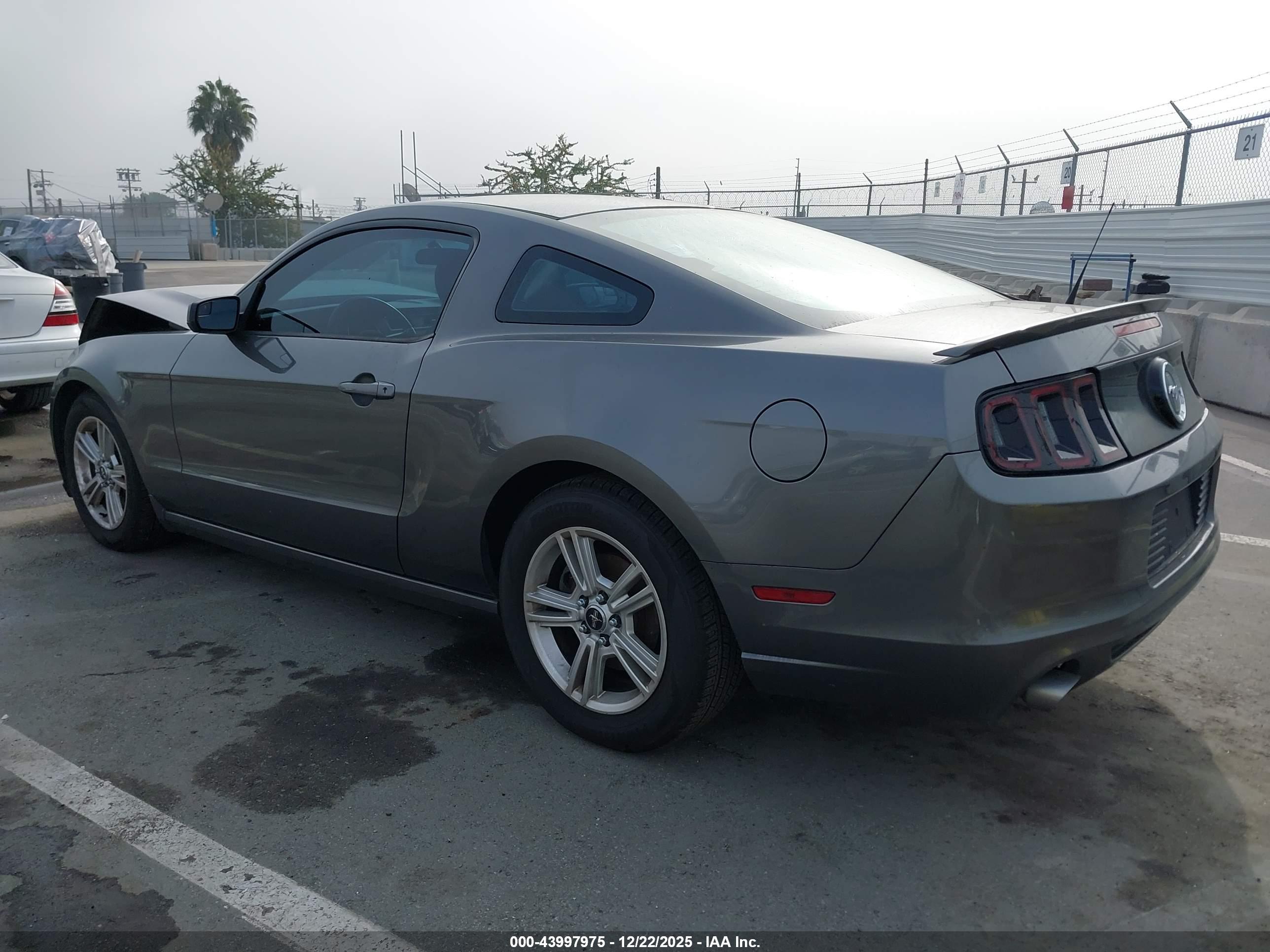 FORD MUSTANG image 3