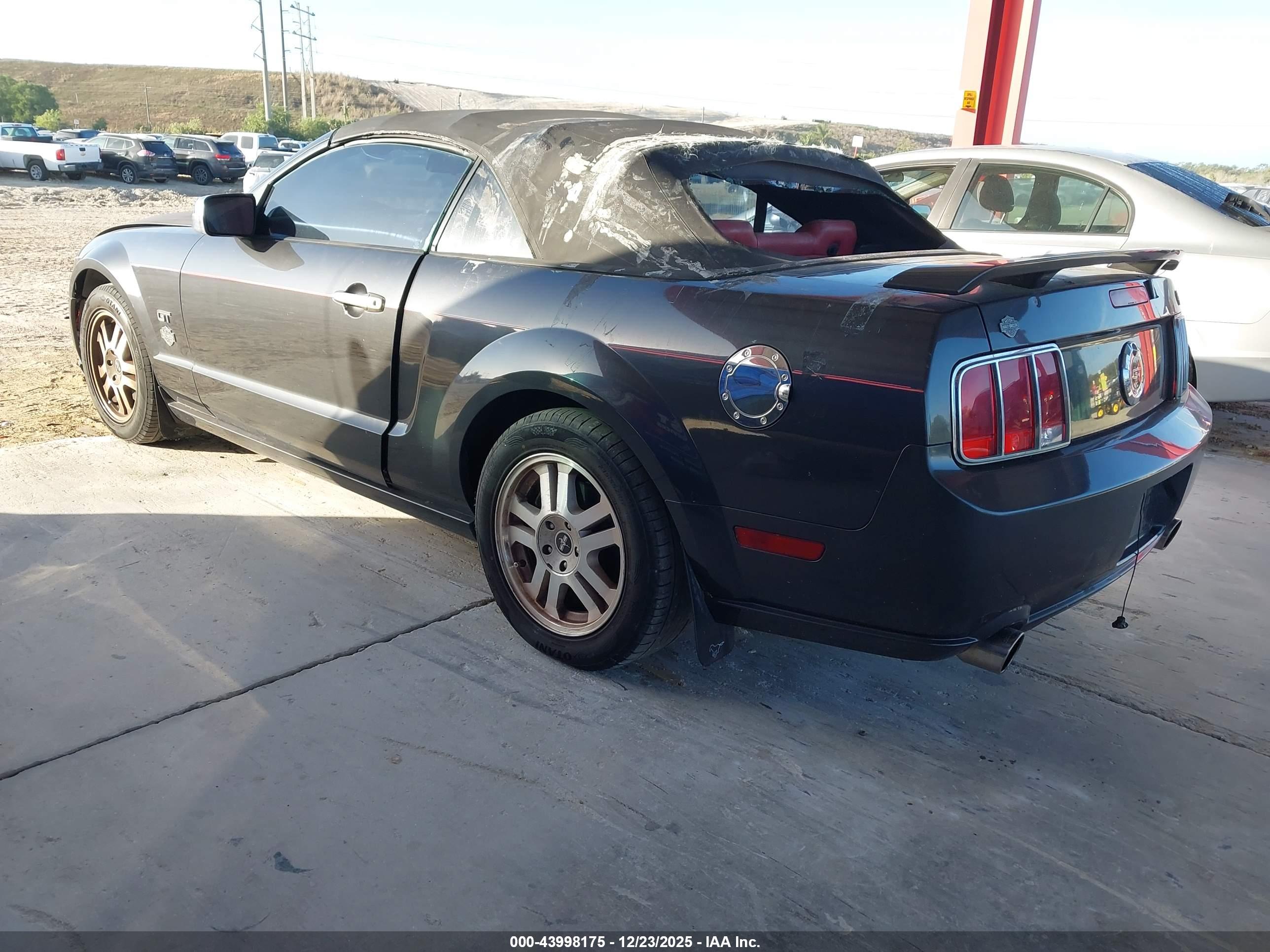 FORD MUSTANG image 3