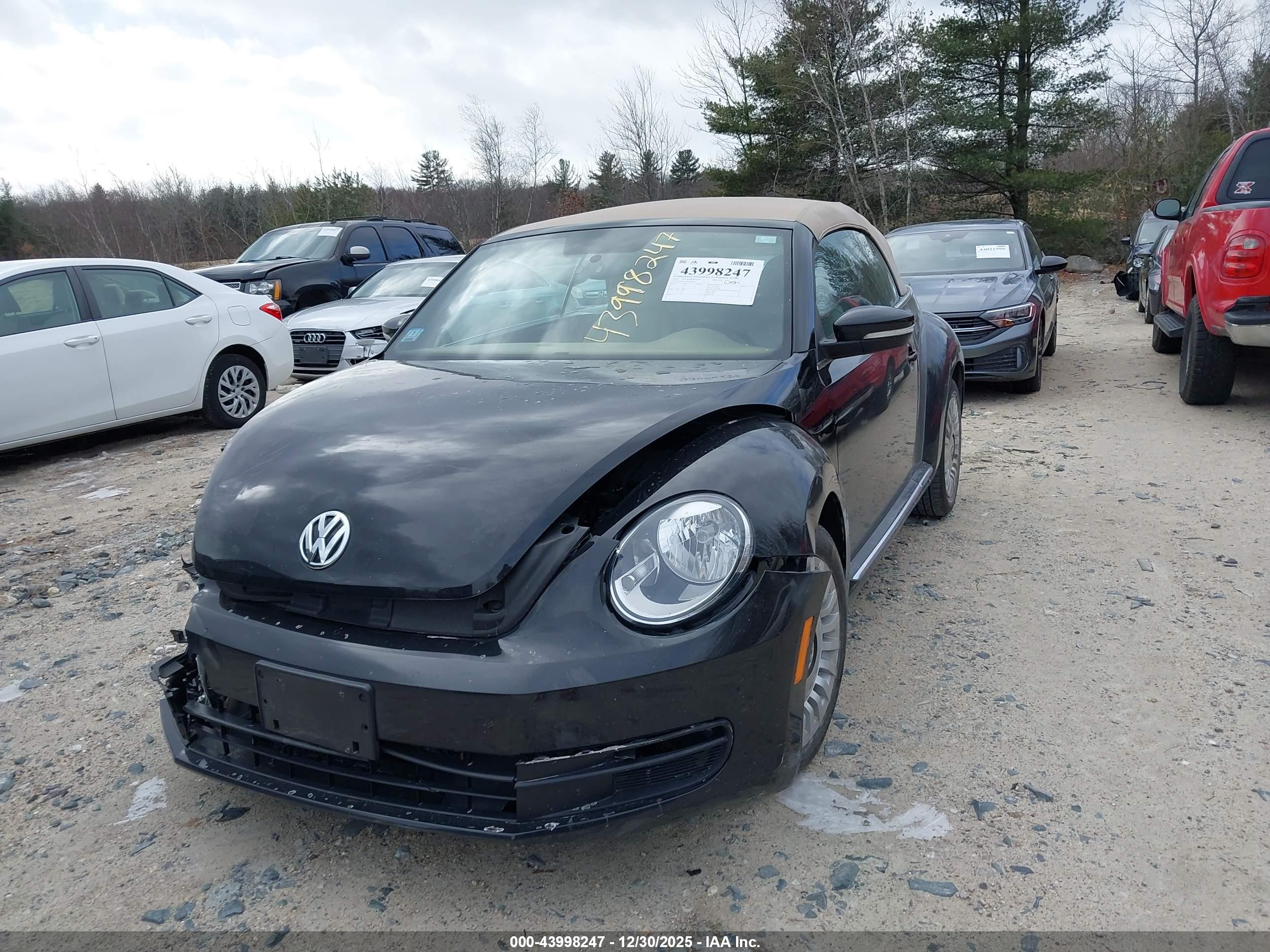 VOLKSWAGEN BEETLE image 2