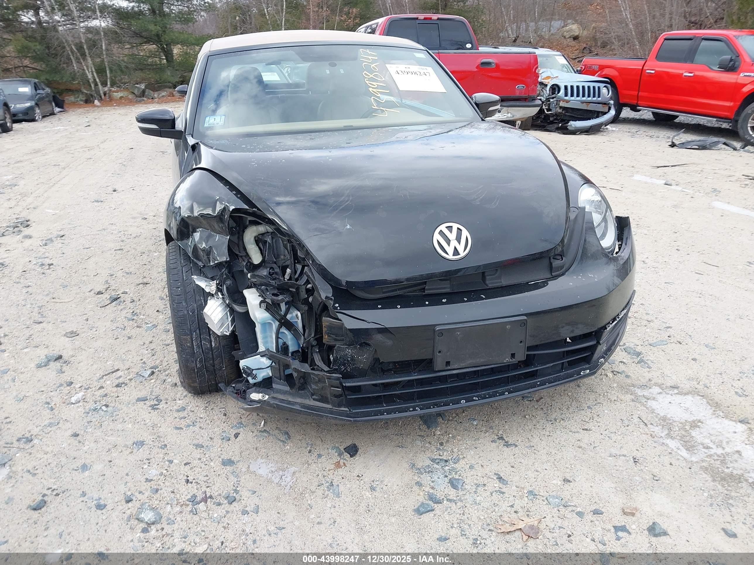 VOLKSWAGEN BEETLE image 6