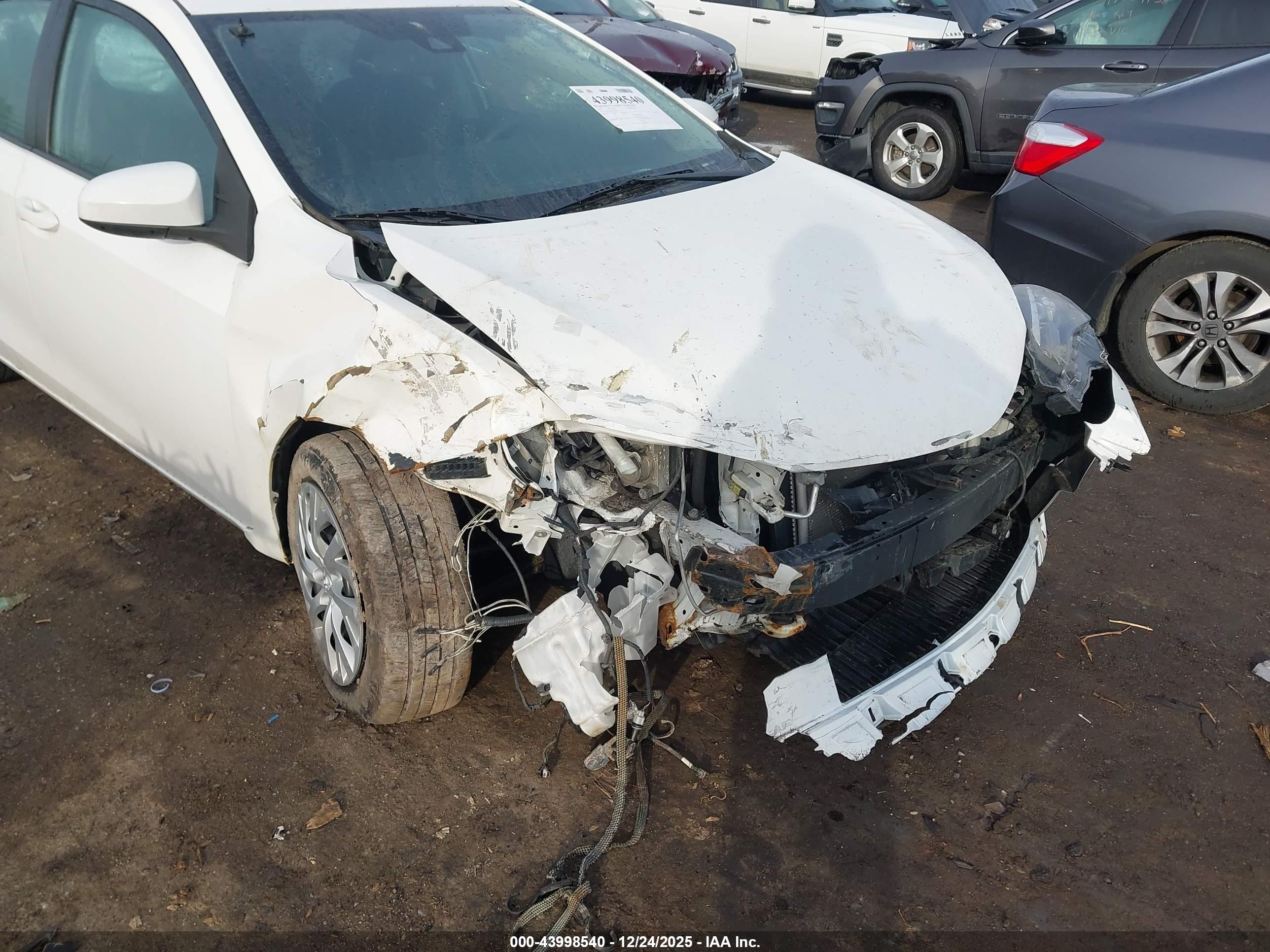 TOYOTA COROLLA image 6