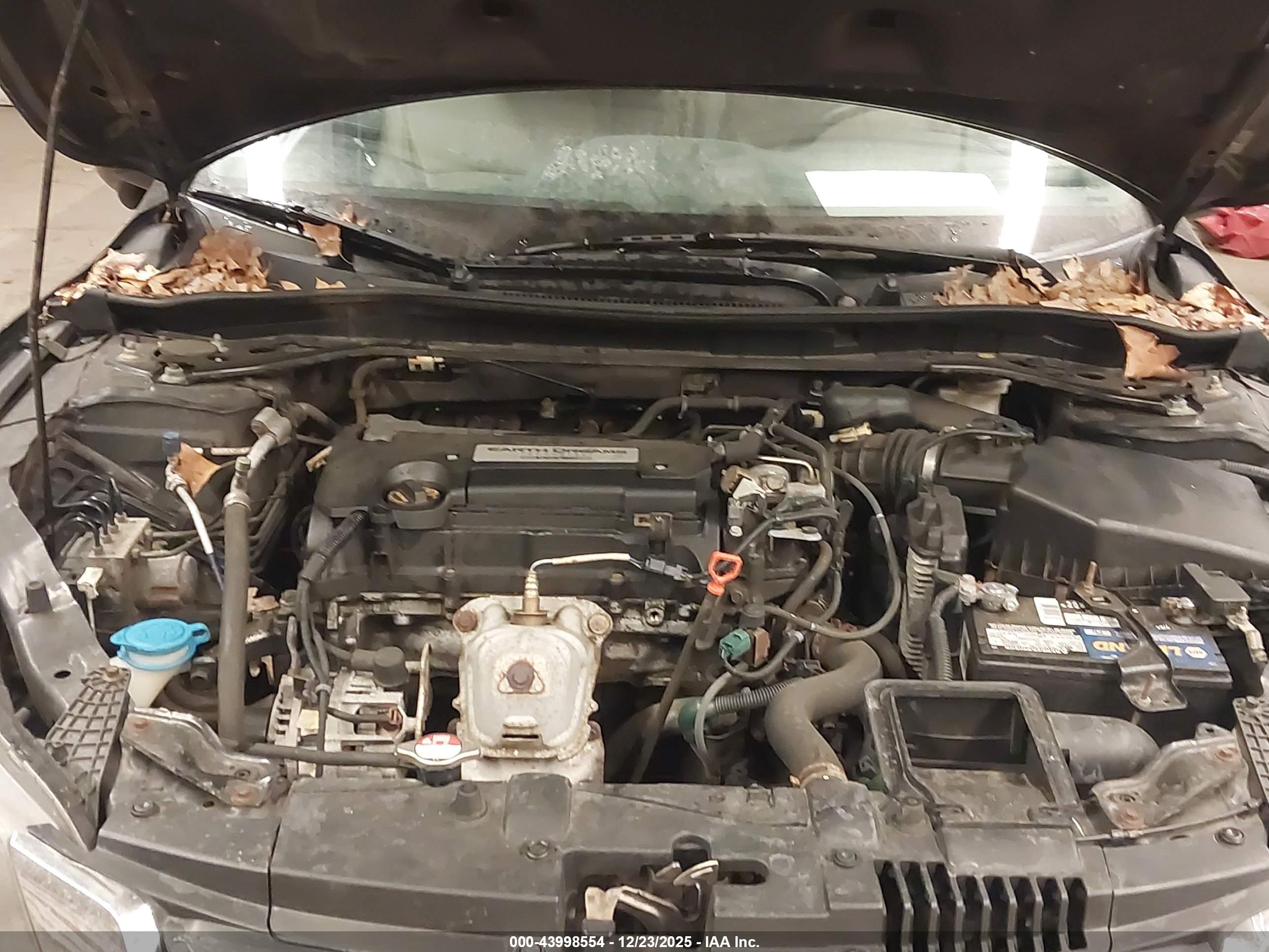 HONDA ACCORD image 10