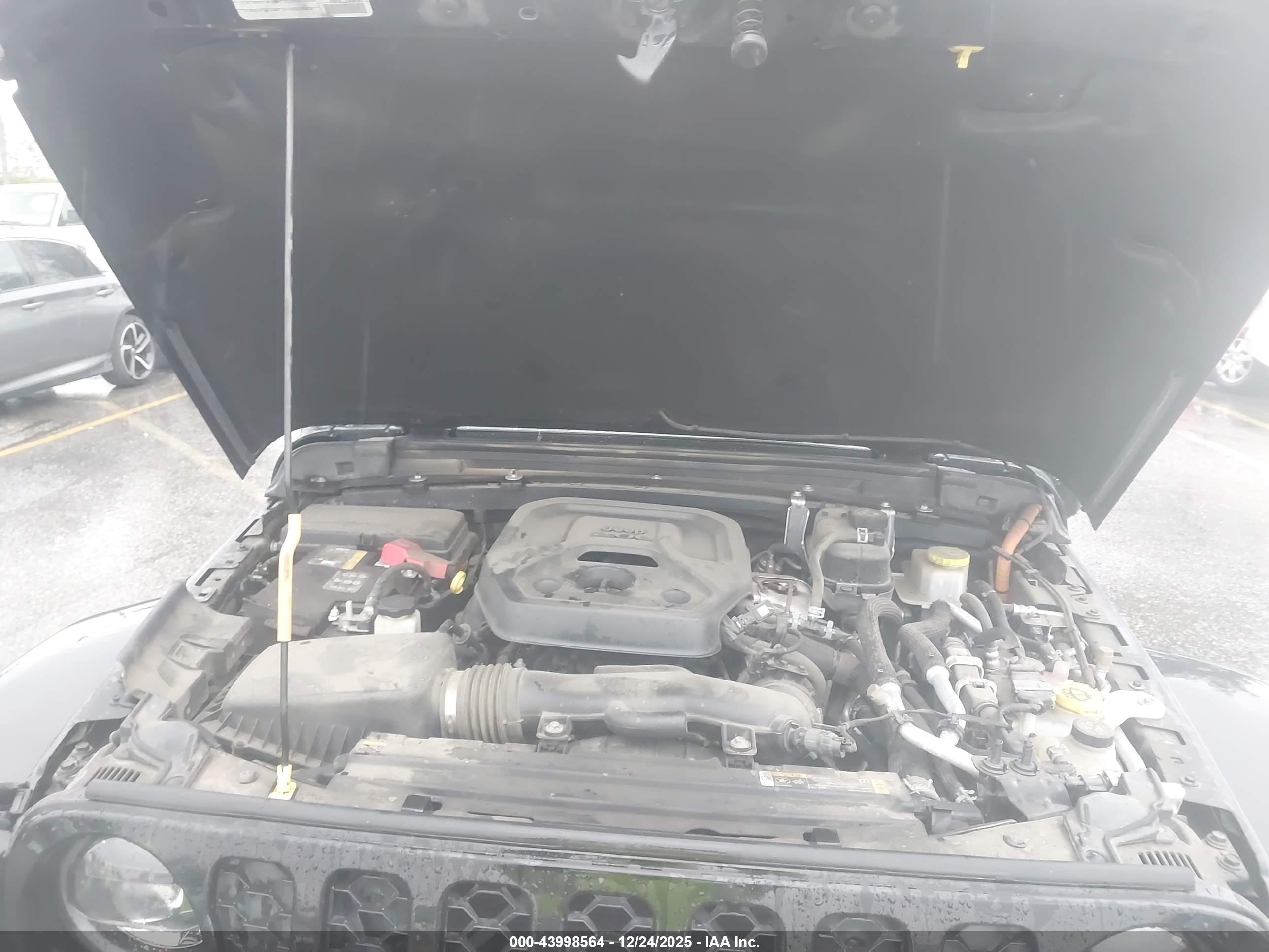 JEEP WRANGLER image 10