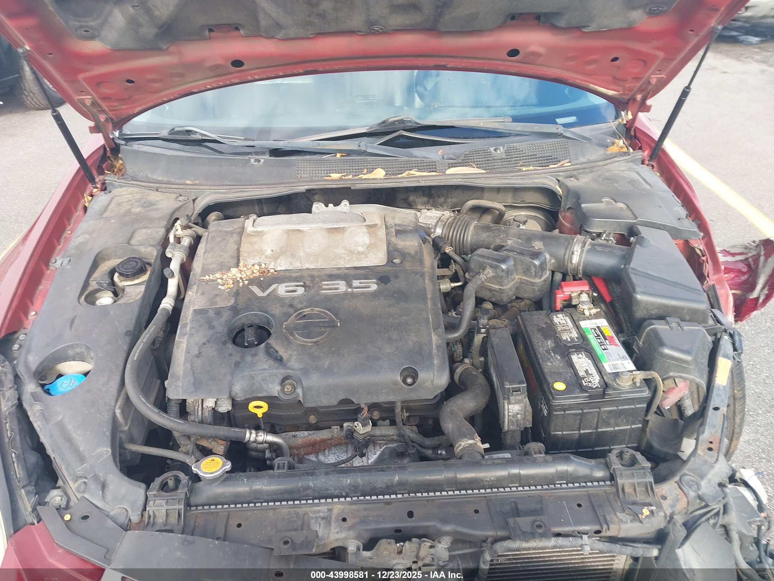 NISSAN MAXIMA image 10