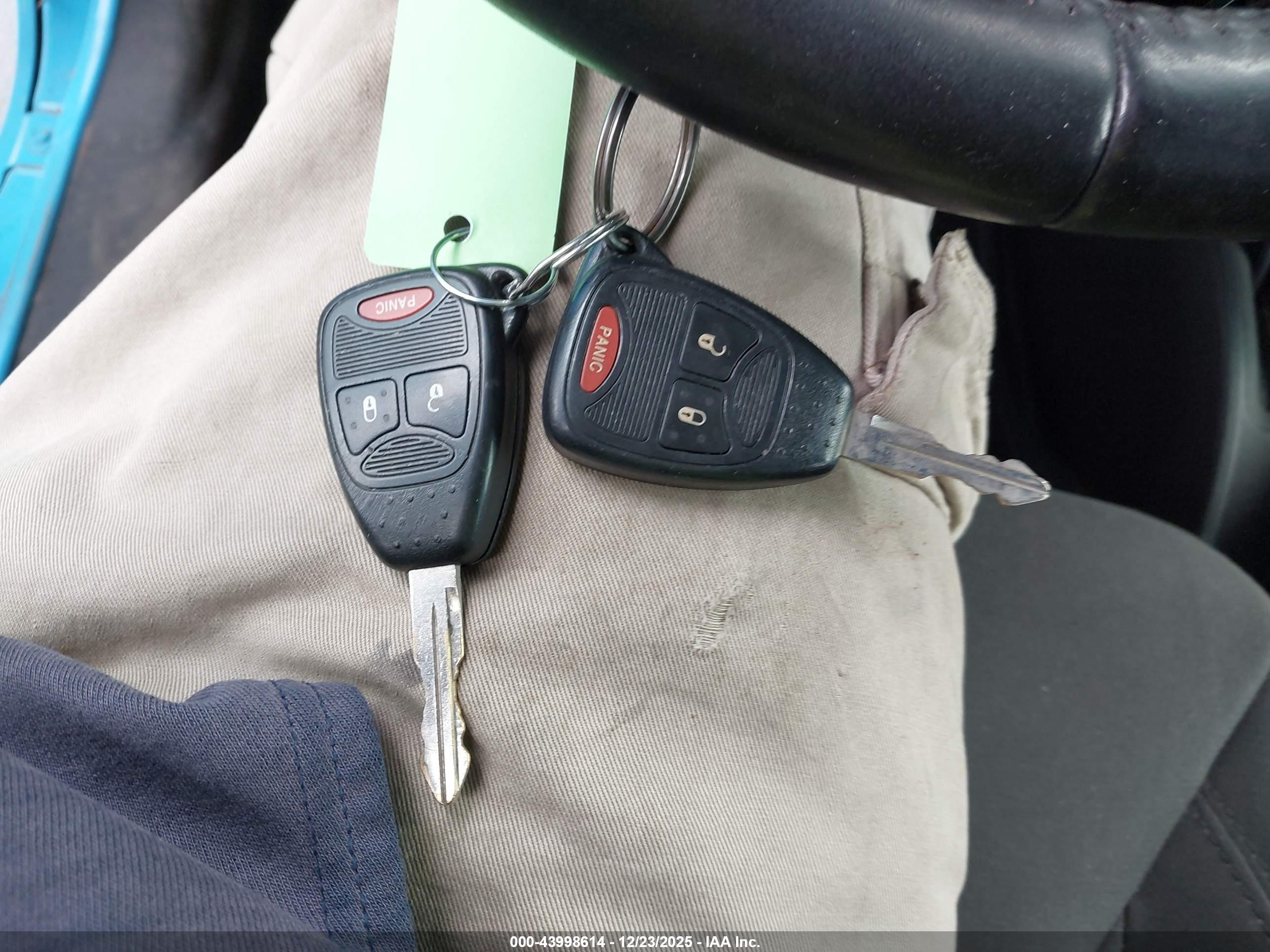 JEEP WRANGLER image 11