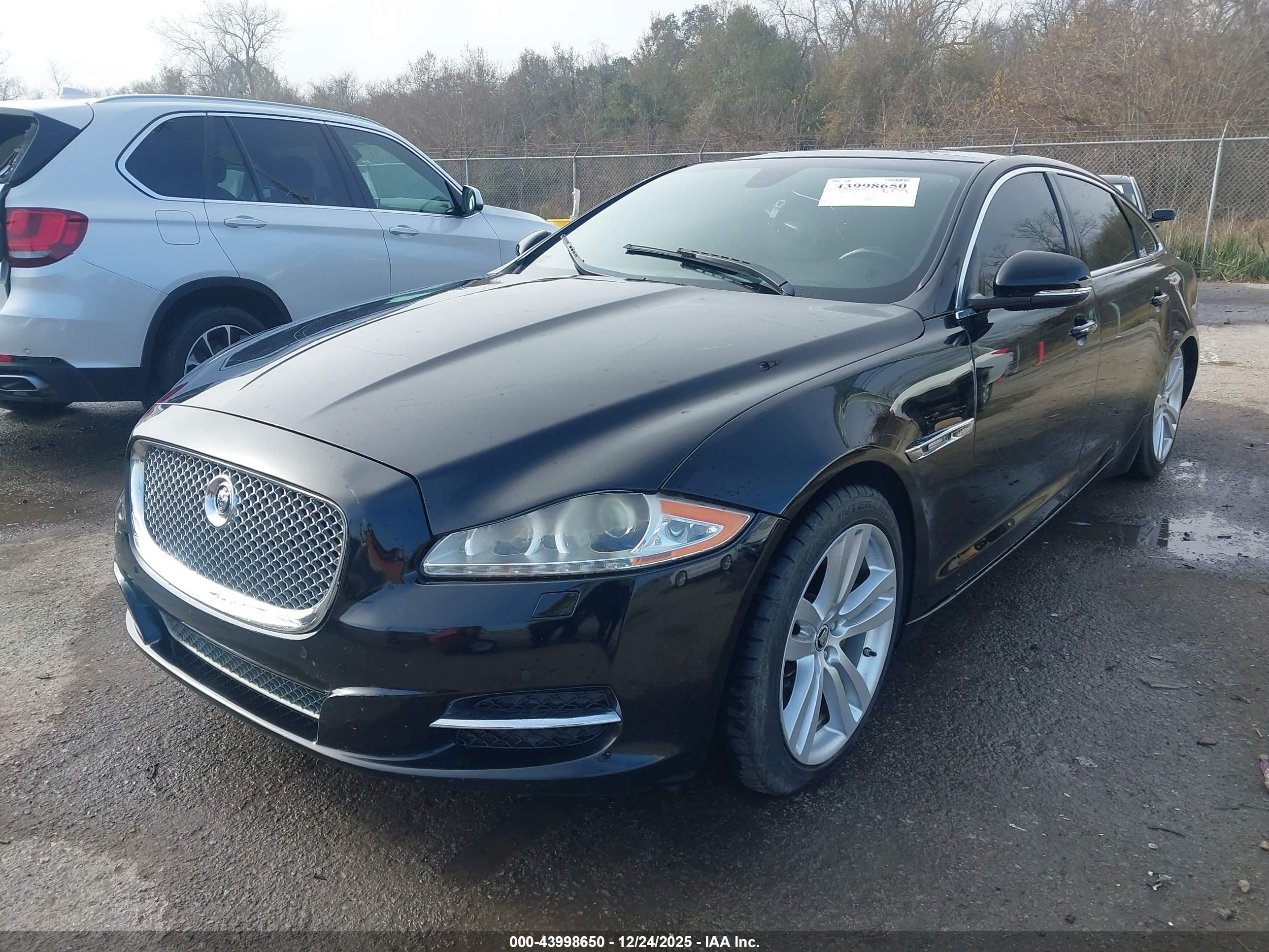 JAGUAR XJ image 2