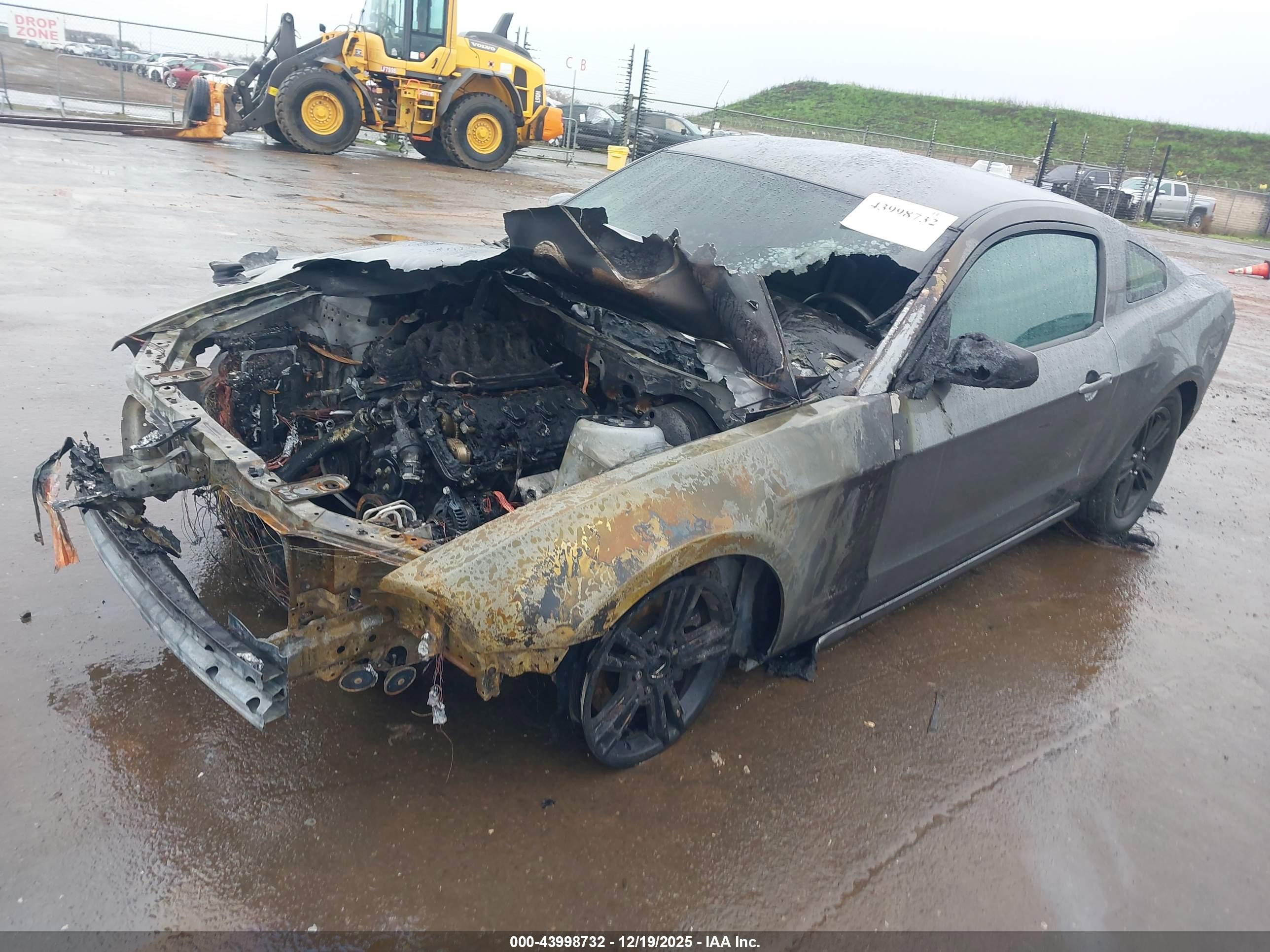 FORD MUSTANG image 2