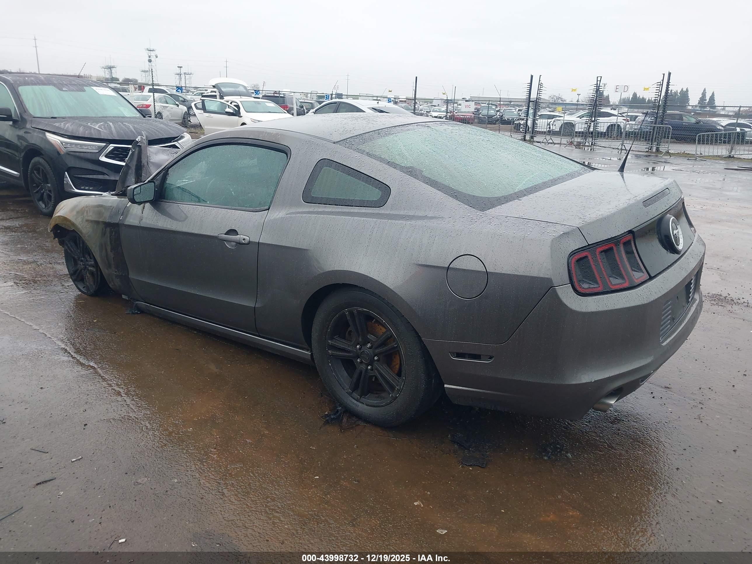 FORD MUSTANG image 3