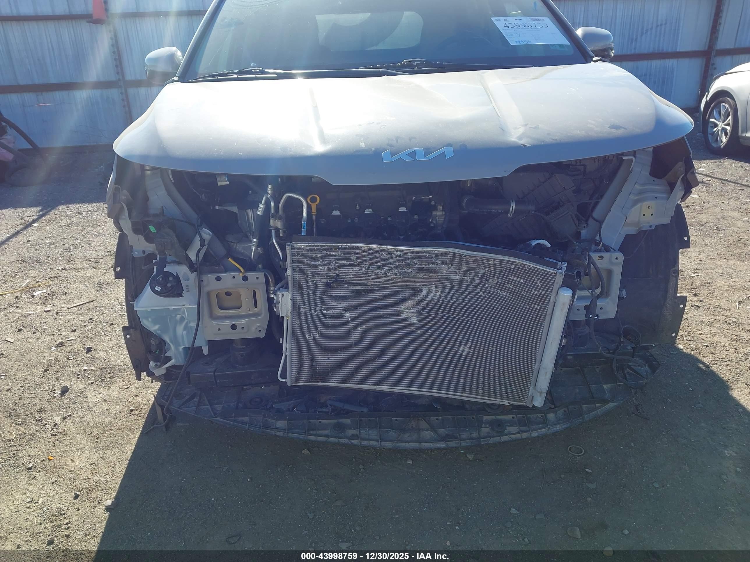 KIA CARNIVAL image 6