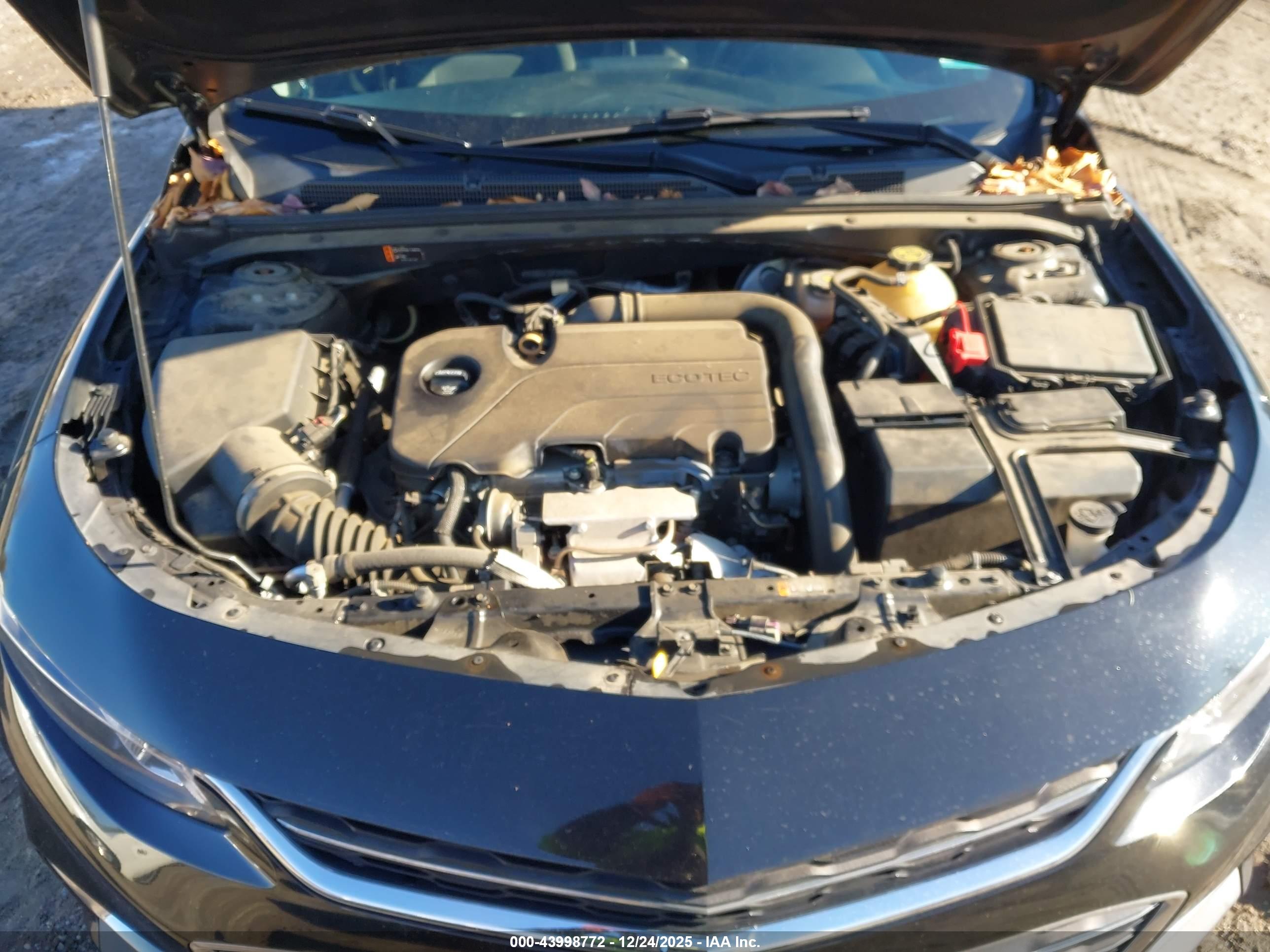 CHEVROLET MALIBU image 10
