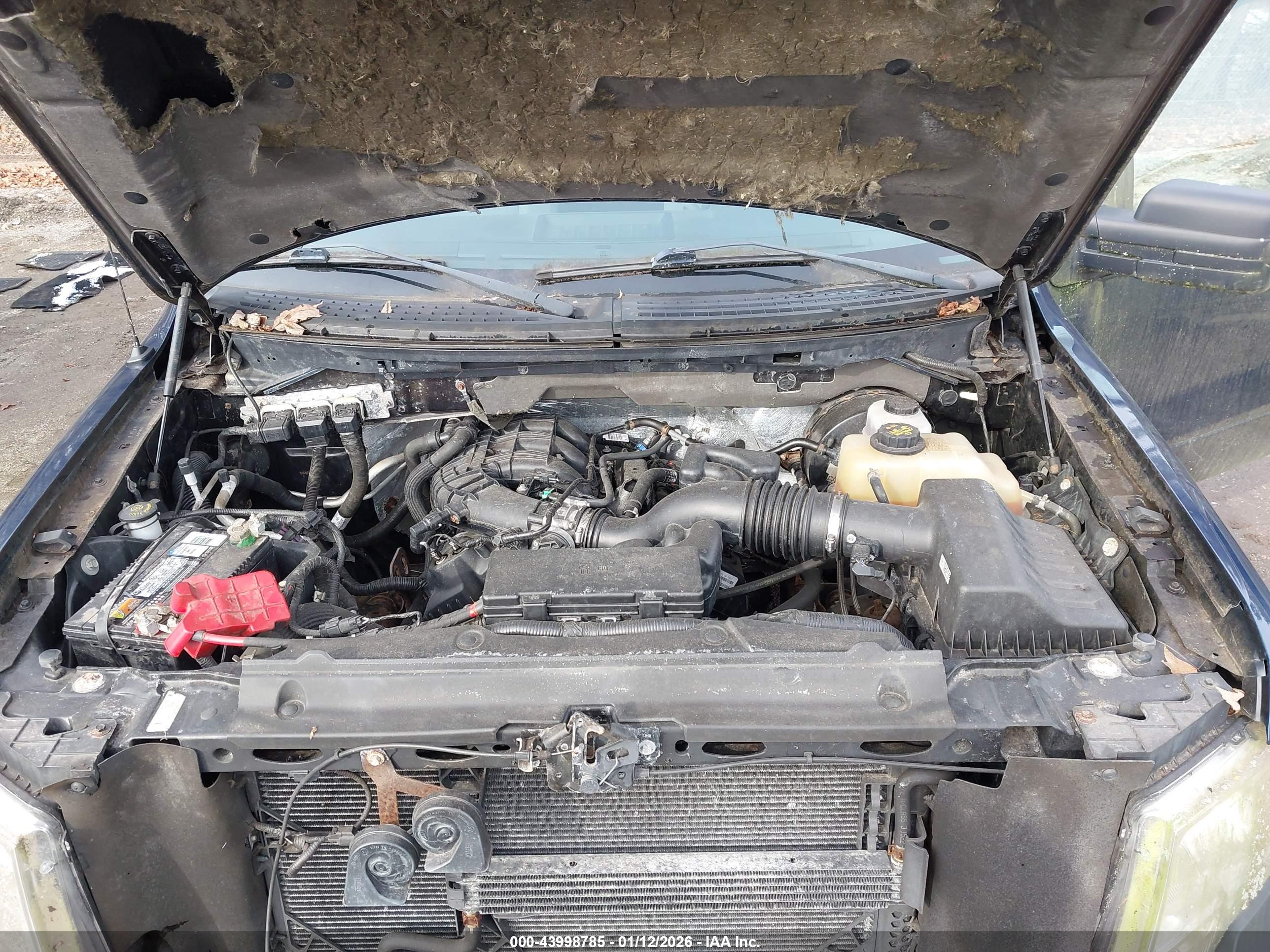 FORD F-150 image 10