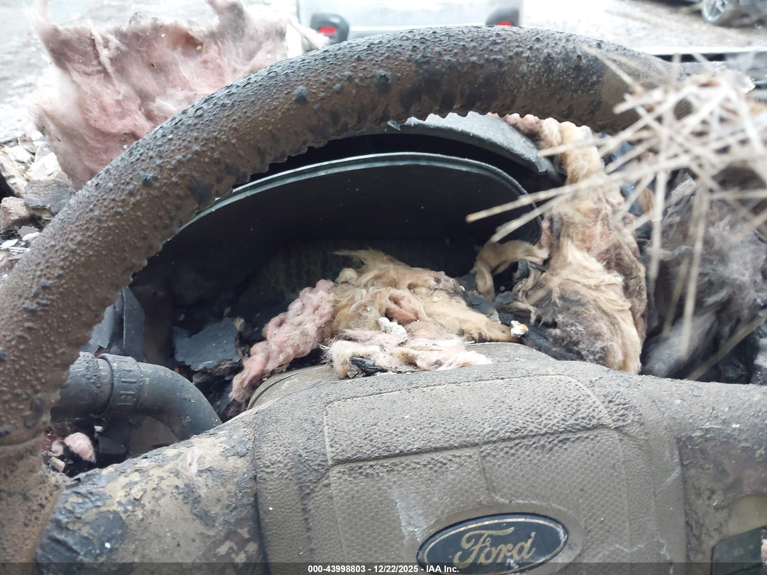 FORD ESCAPE image 7
