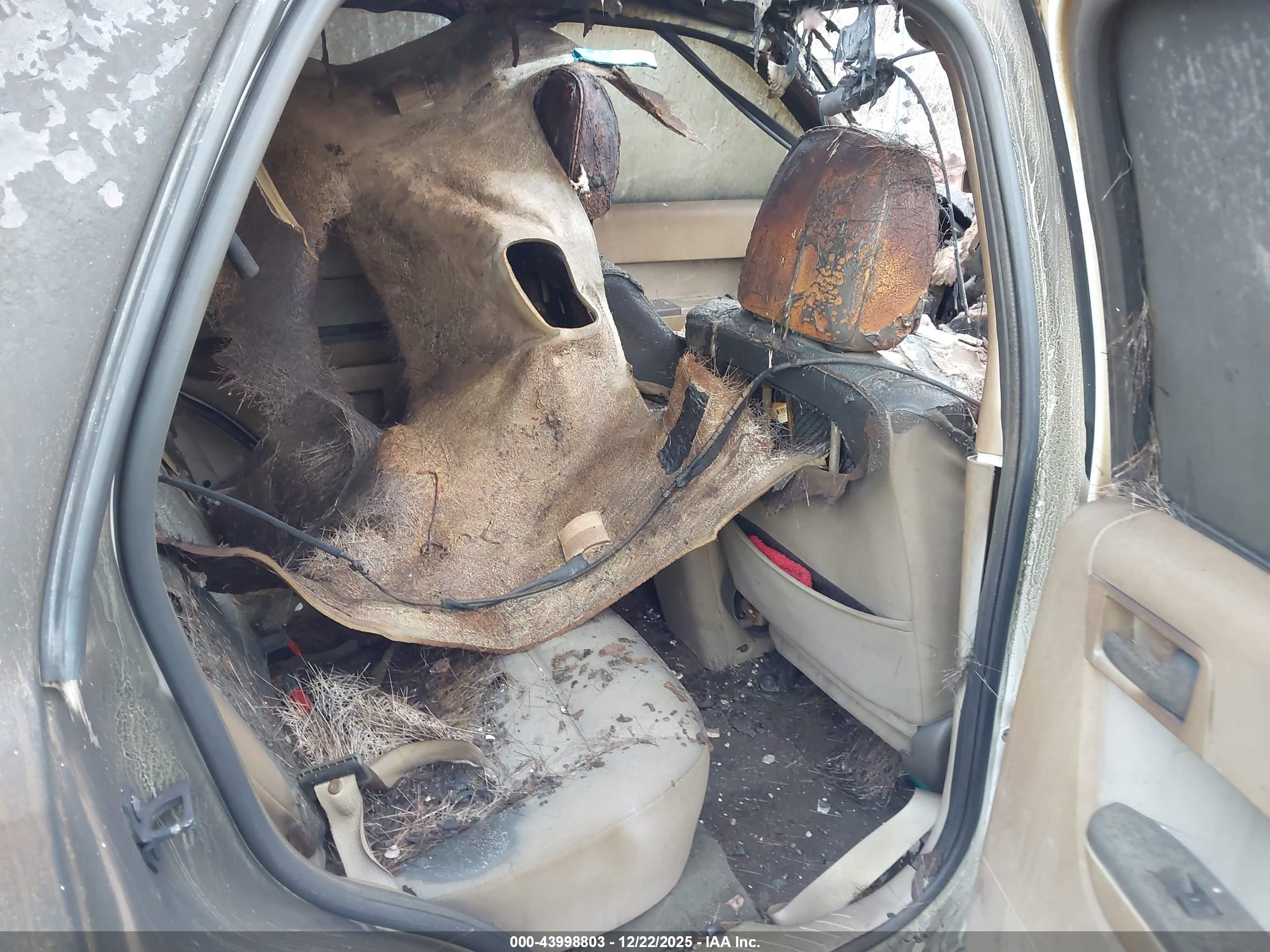 FORD ESCAPE image 8