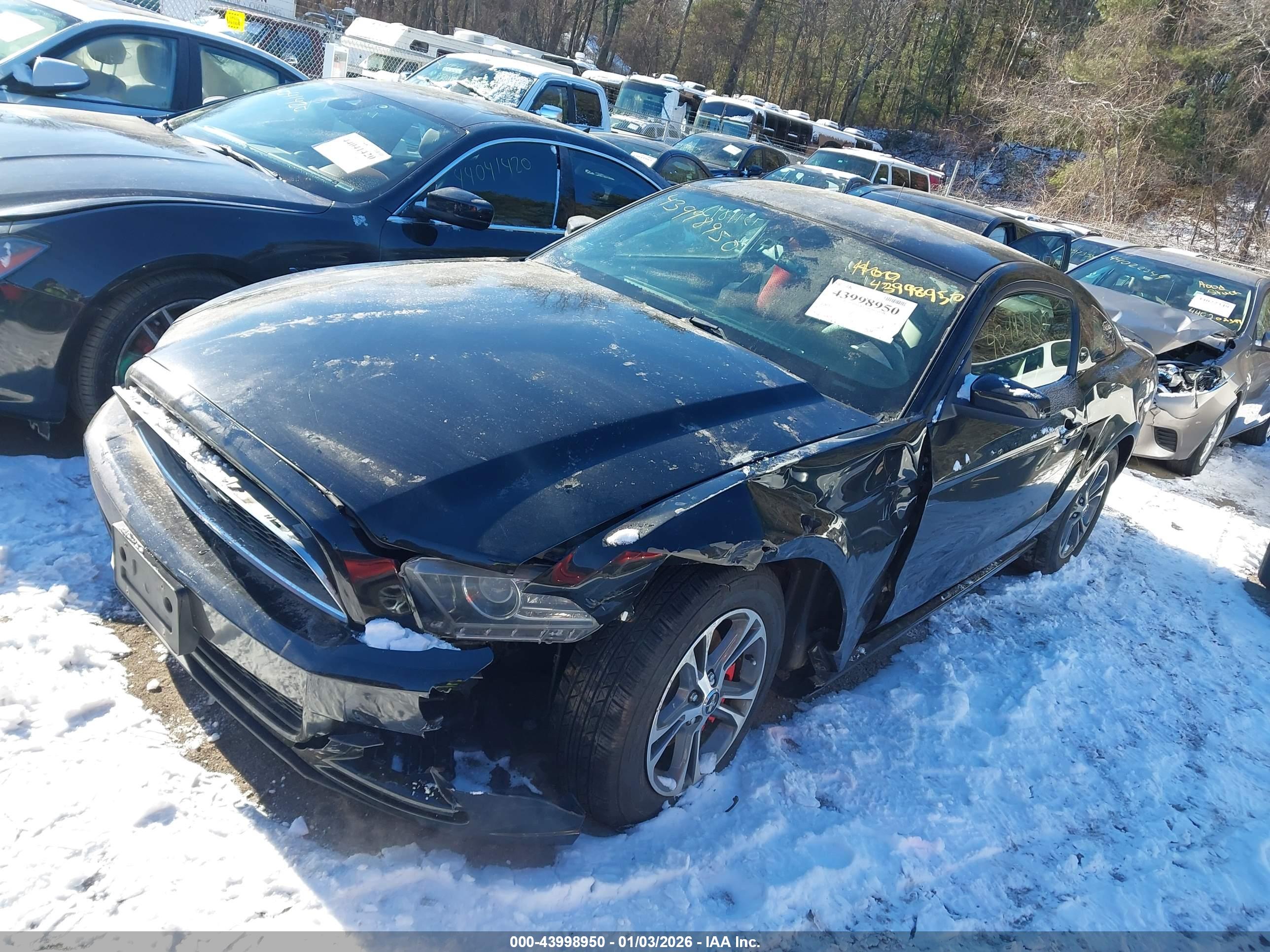 FORD MUSTANG image 2