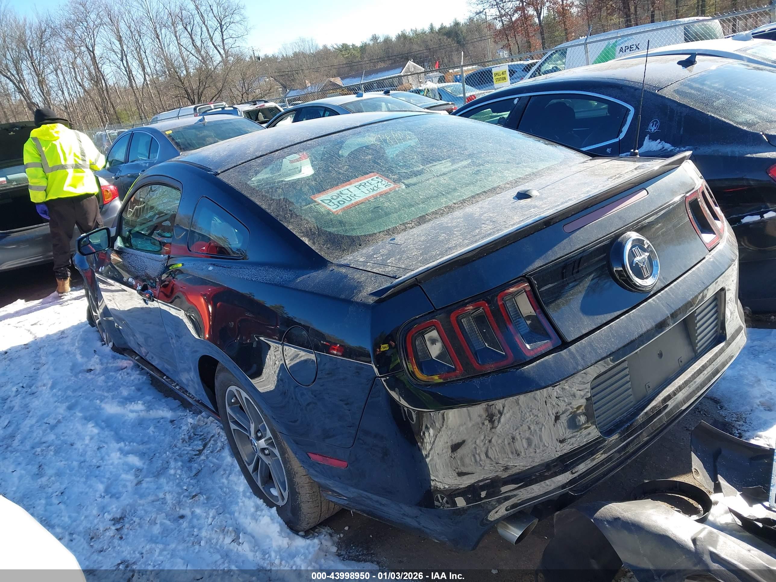 FORD MUSTANG image 3