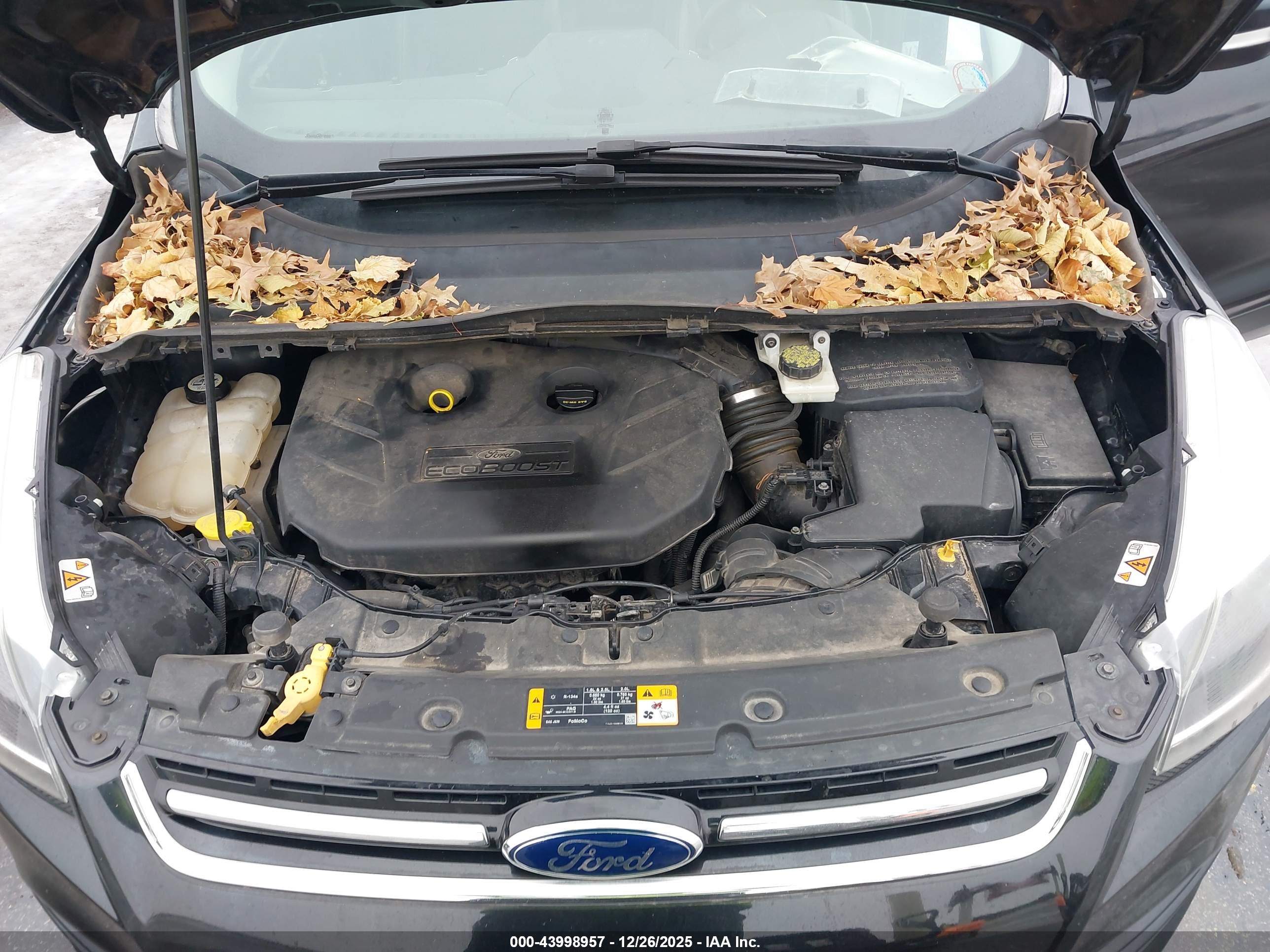 FORD ESCAPE image 10