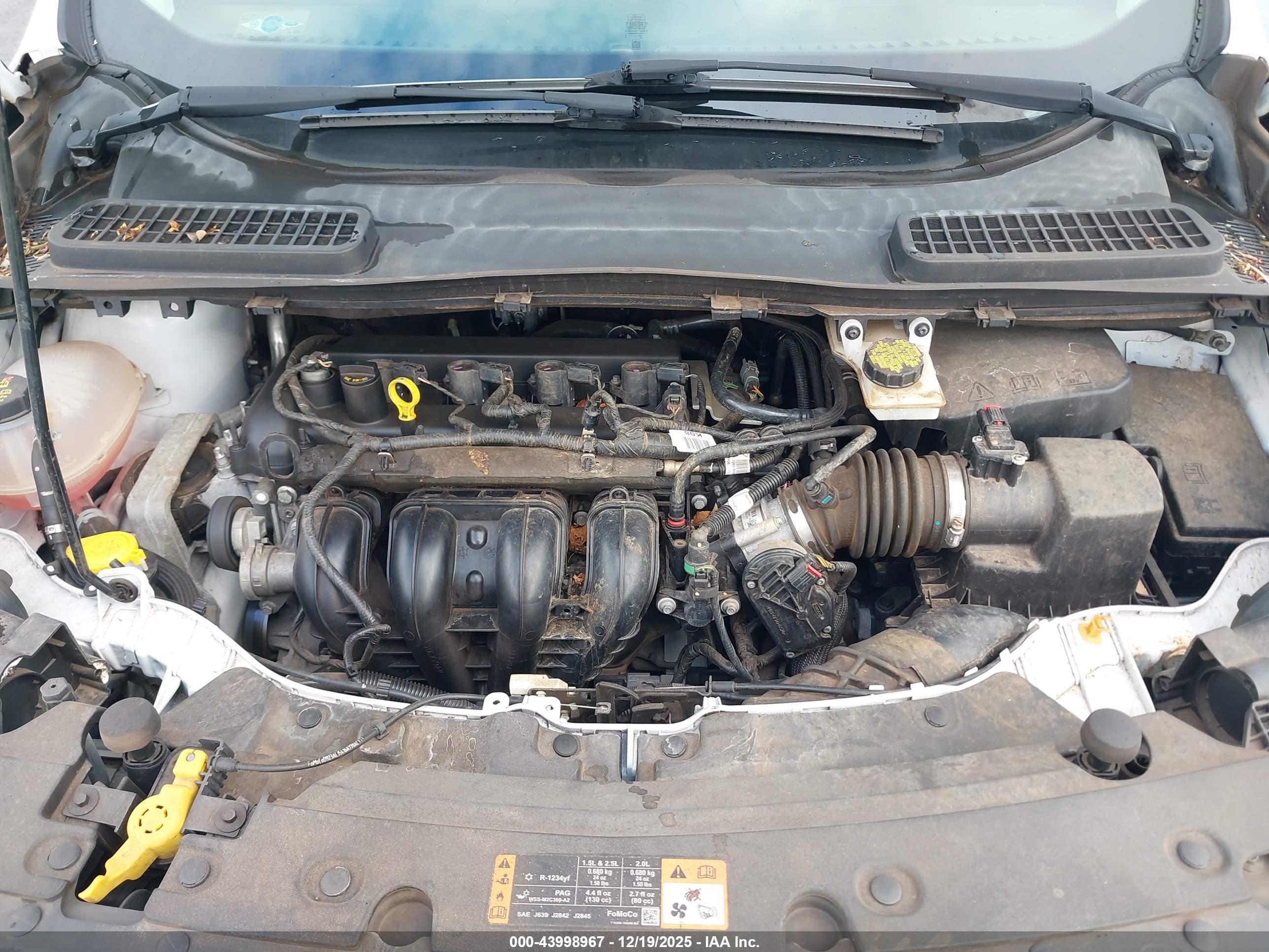 FORD ESCAPE image 10