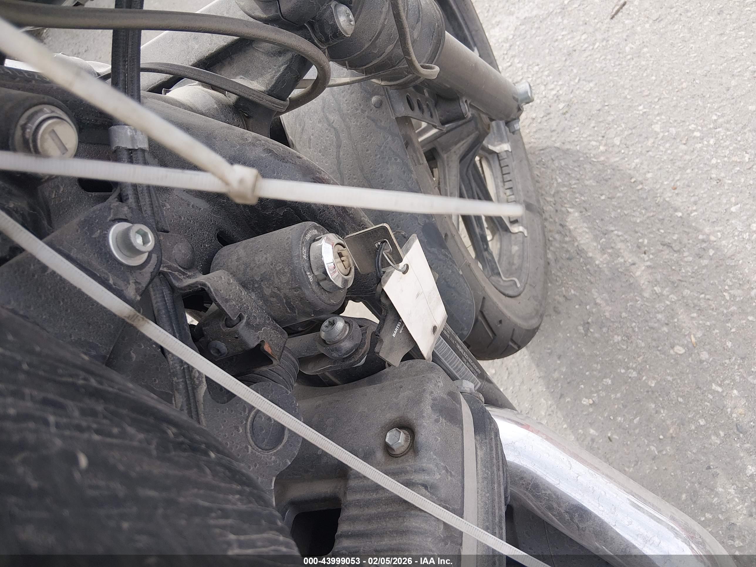 HARLEY-DAVIDSON XL883 image 11