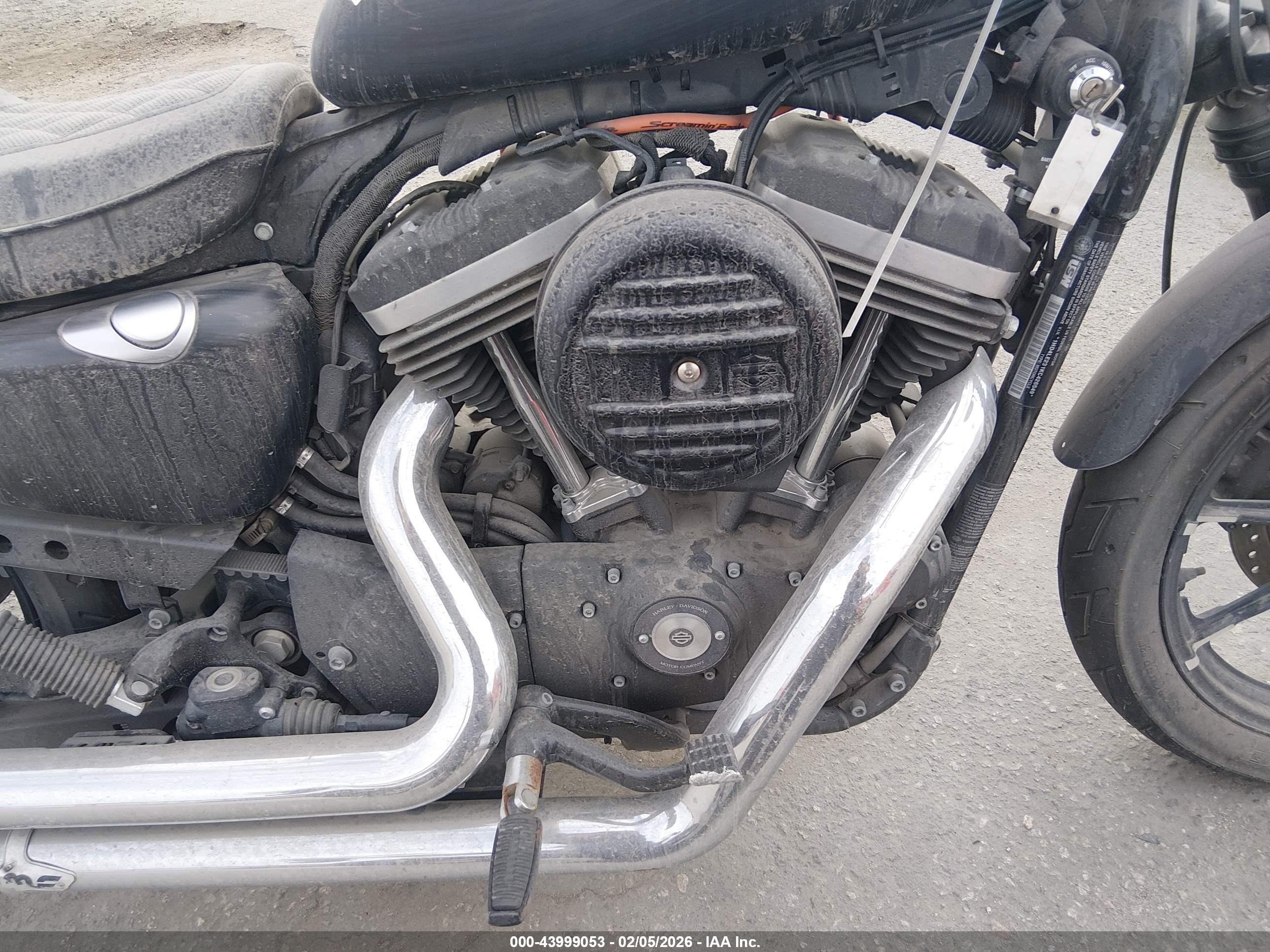 HARLEY-DAVIDSON XL883 image 8