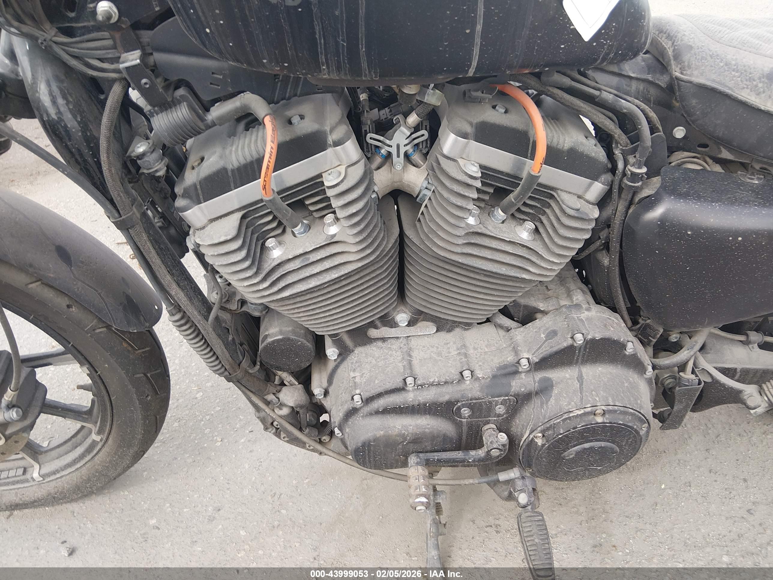 HARLEY-DAVIDSON XL883 image 9