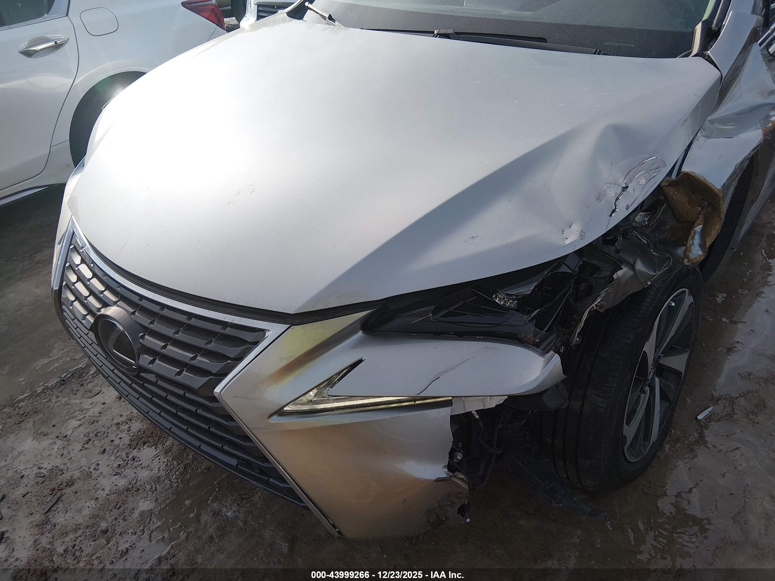 LEXUS NX image 6