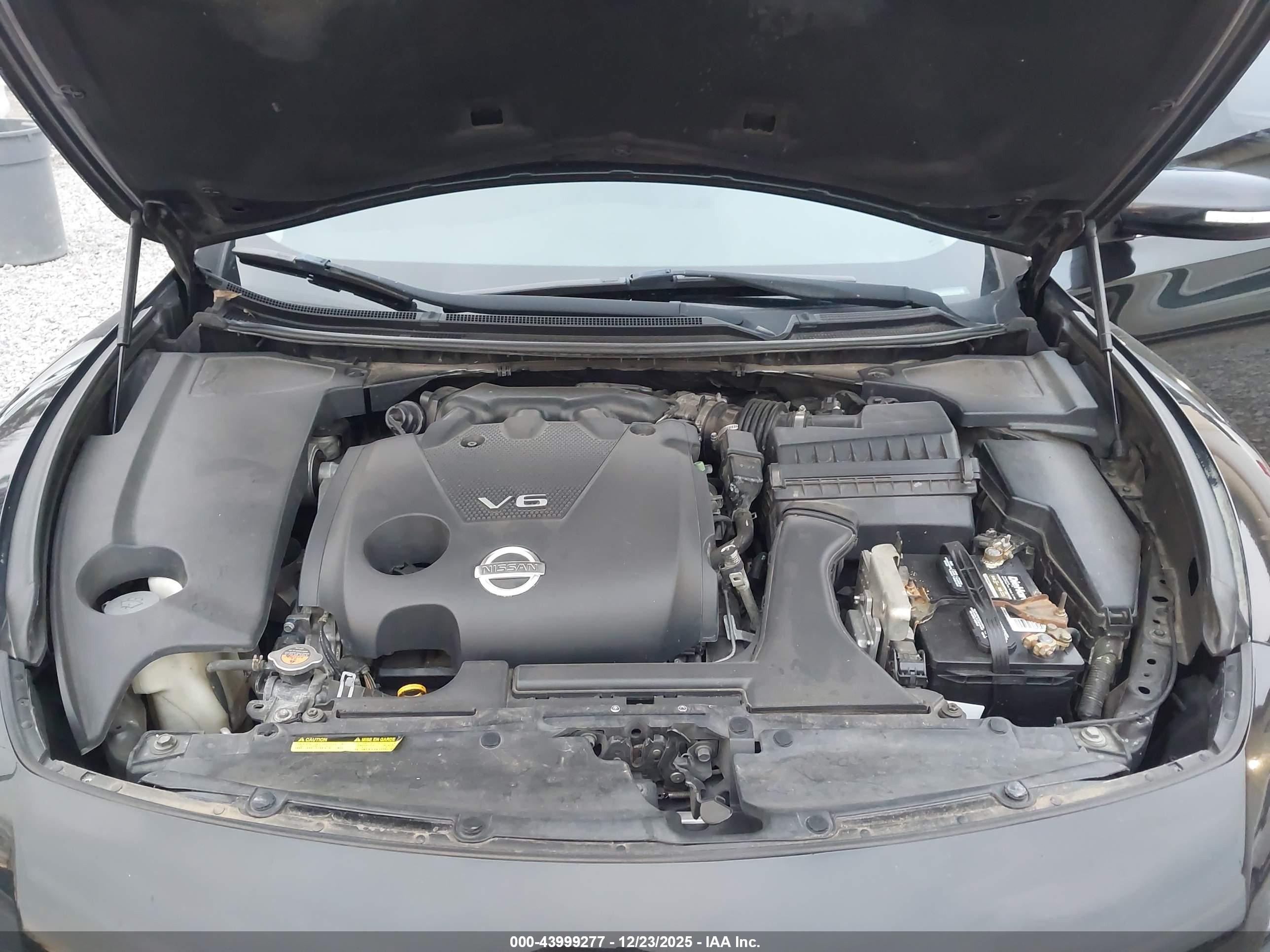 NISSAN MAXIMA image 10