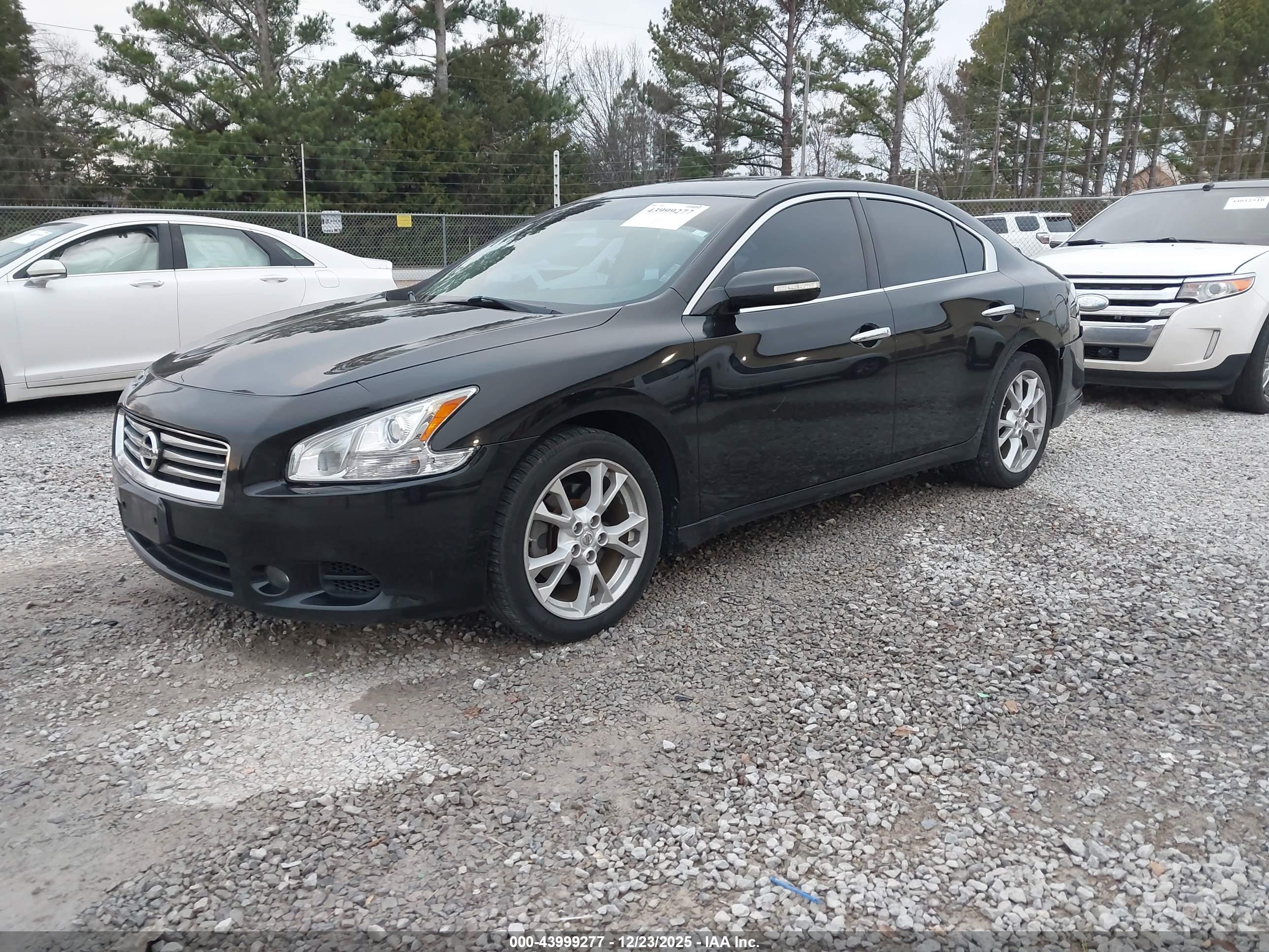 NISSAN MAXIMA image 2